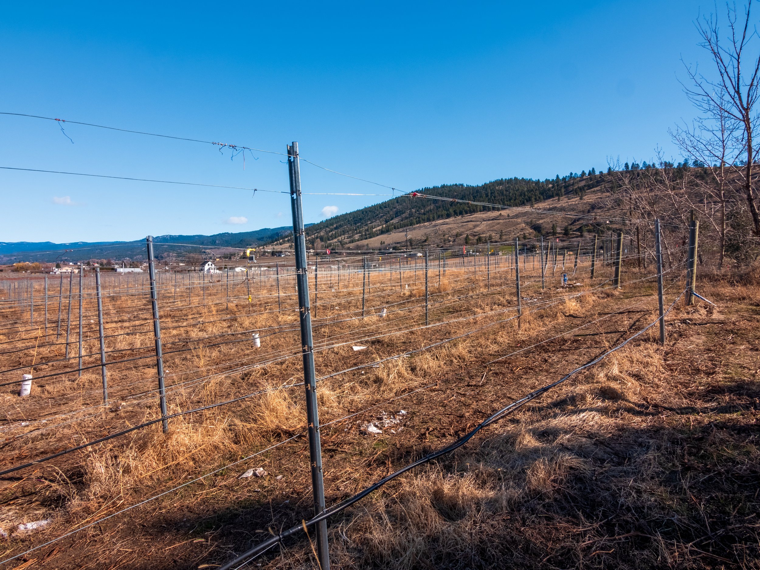 P2133589-HDR.jpg