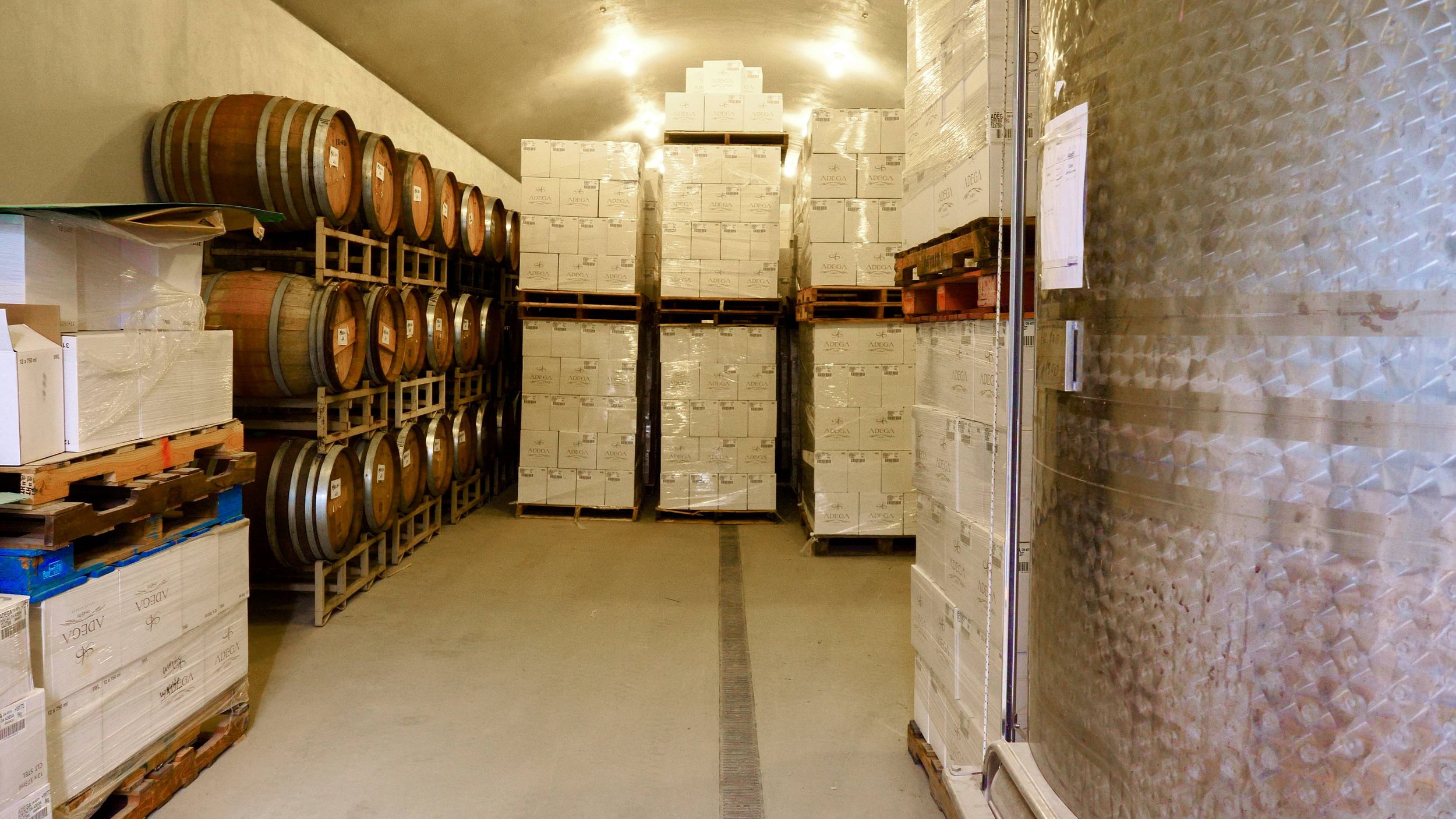 WINE CAVE.jpg
