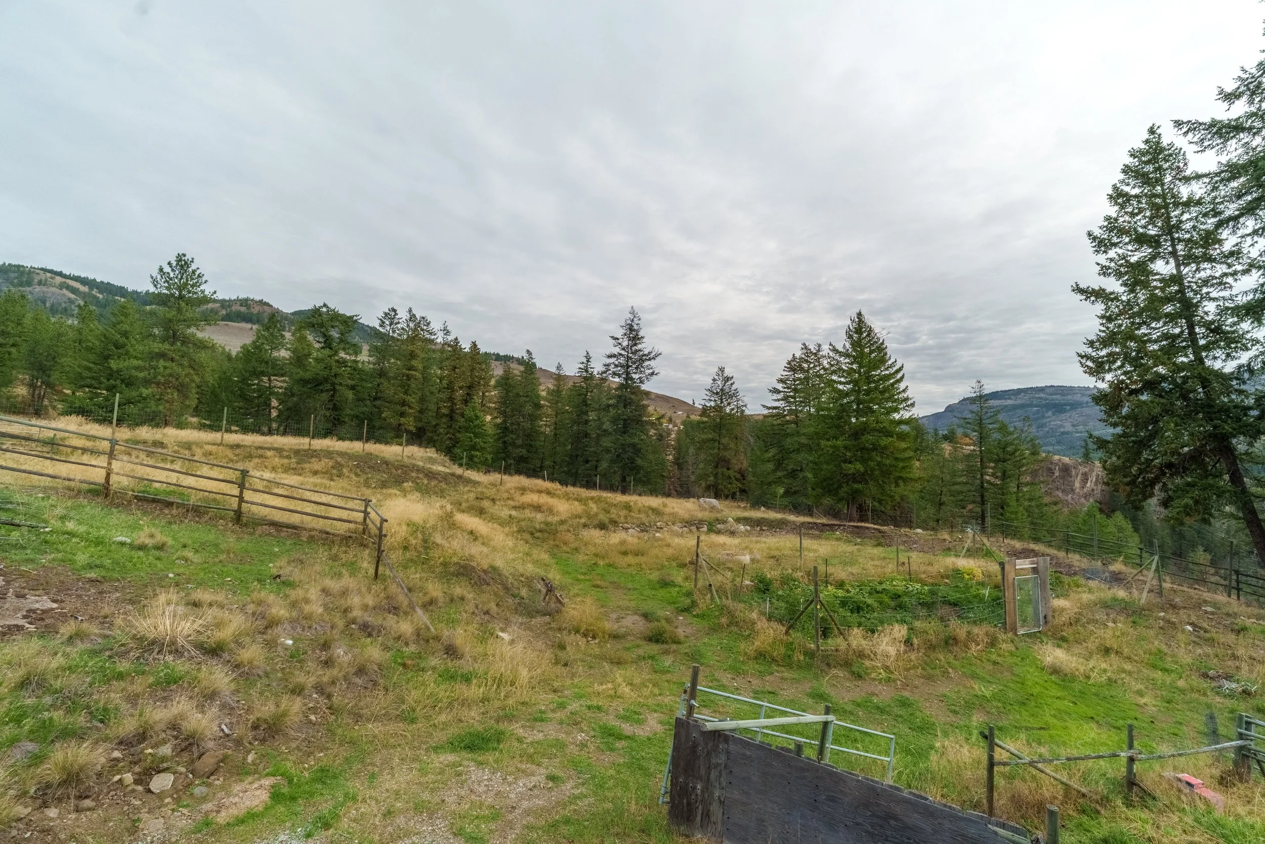 101-DSC06782-HDR.jpg