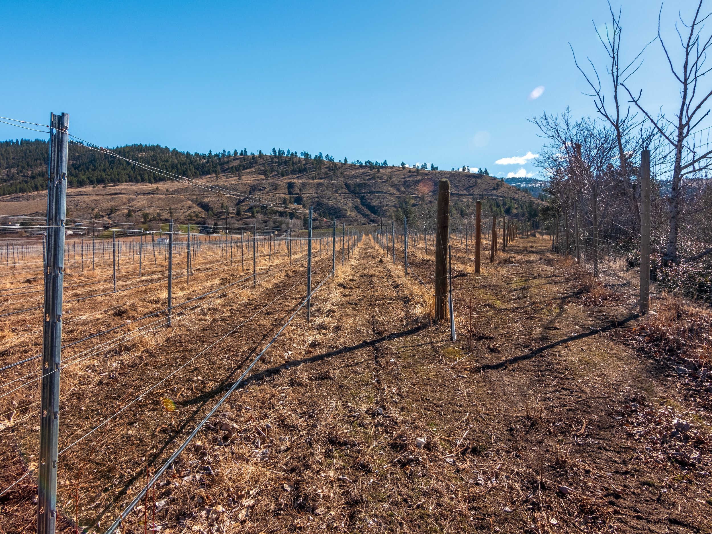 P2133673-HDR.jpg
