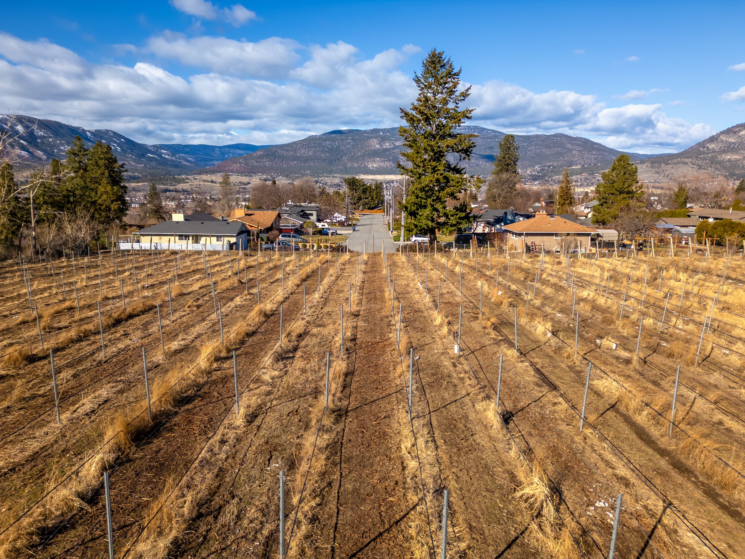 DJI_0190-HDR.jpg