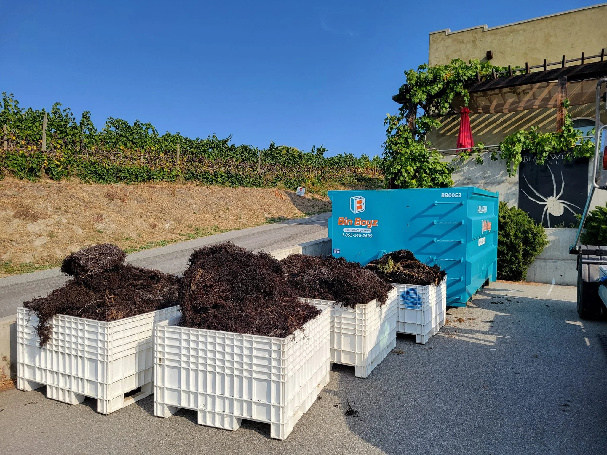 304975497_509384297864077_4260295066767839425_n 3.jpg