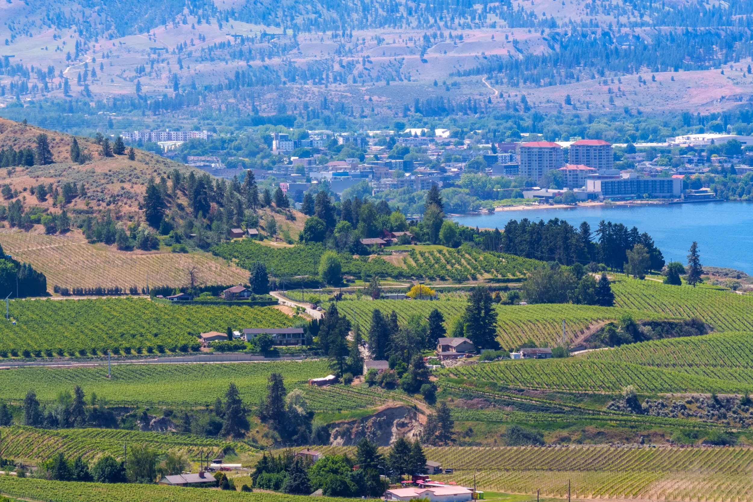 DSC01477-HDR.jpg