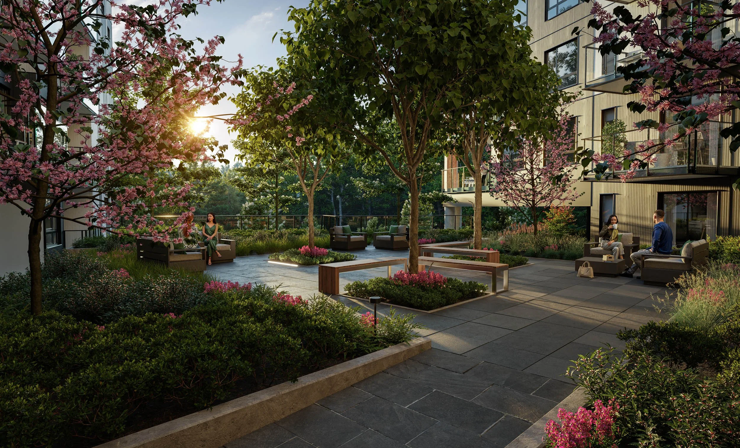 Landscaped courtyard at golden hour with blossoming trees, raised planting beds, stone paving and residents sitting on benches beside the building