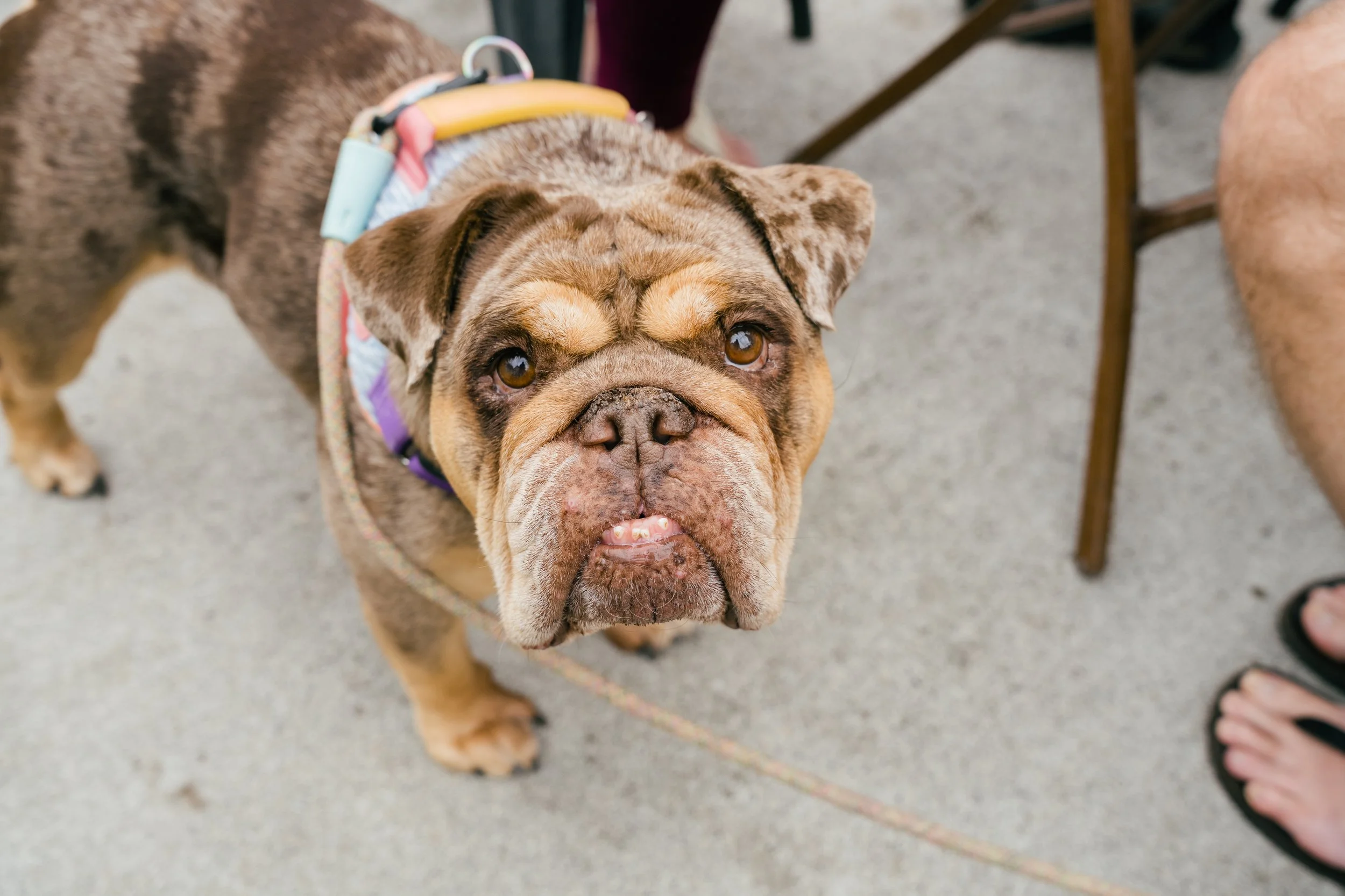 Heretic Coffee Co-85.jpg