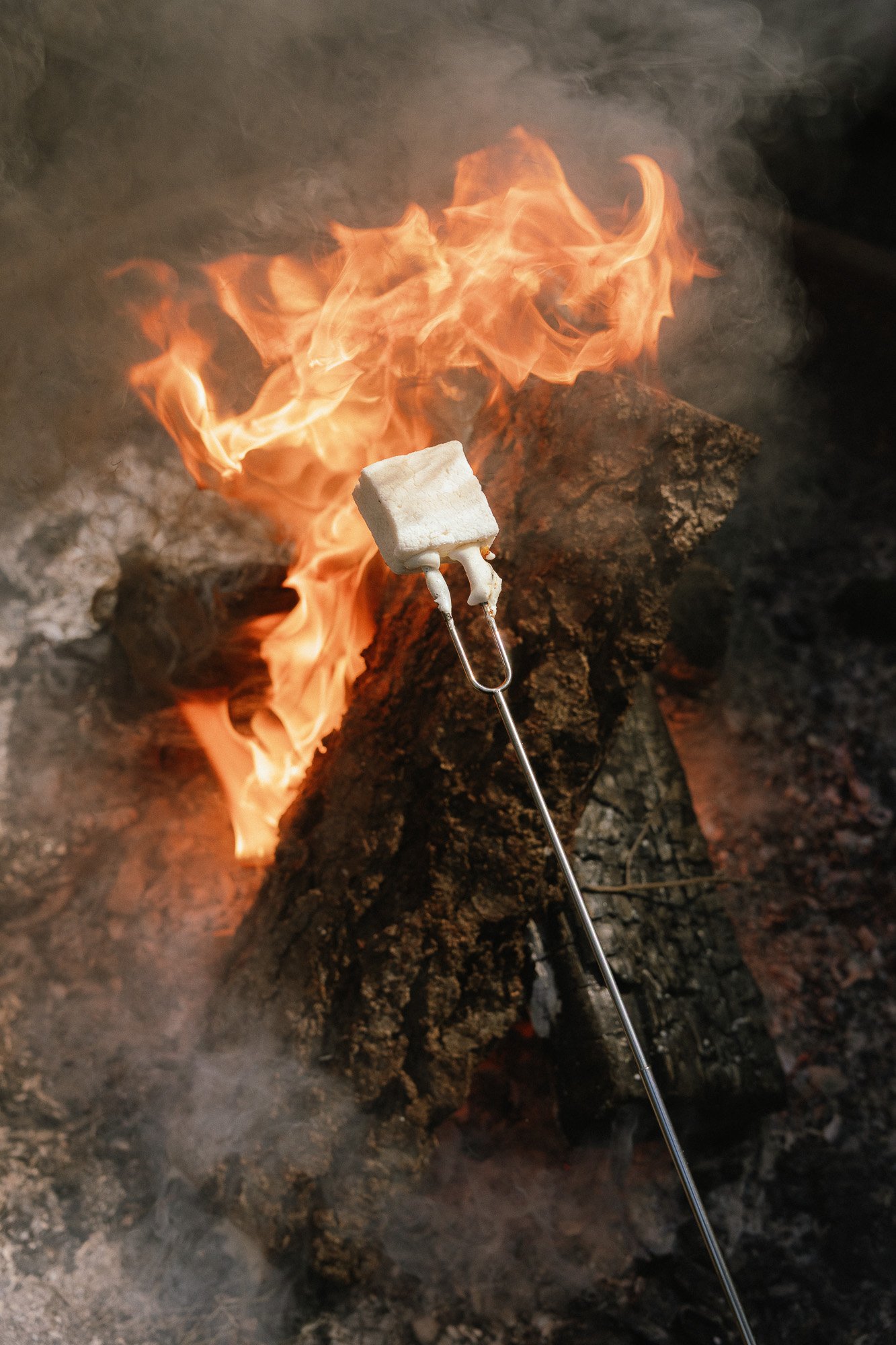 Toasted Smores Bar RESIZE-8.jpg