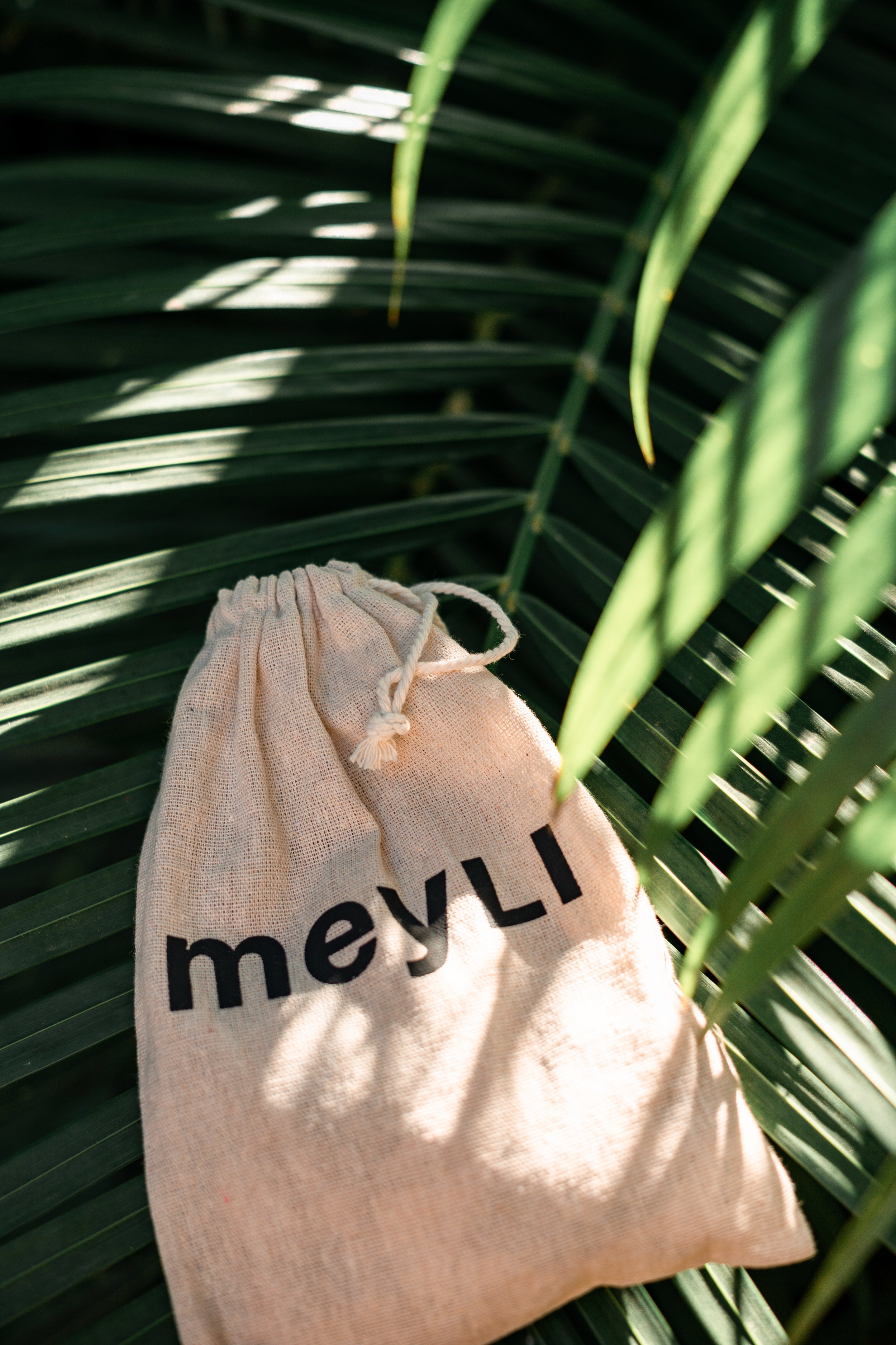 HeyMeyli-2.jpg