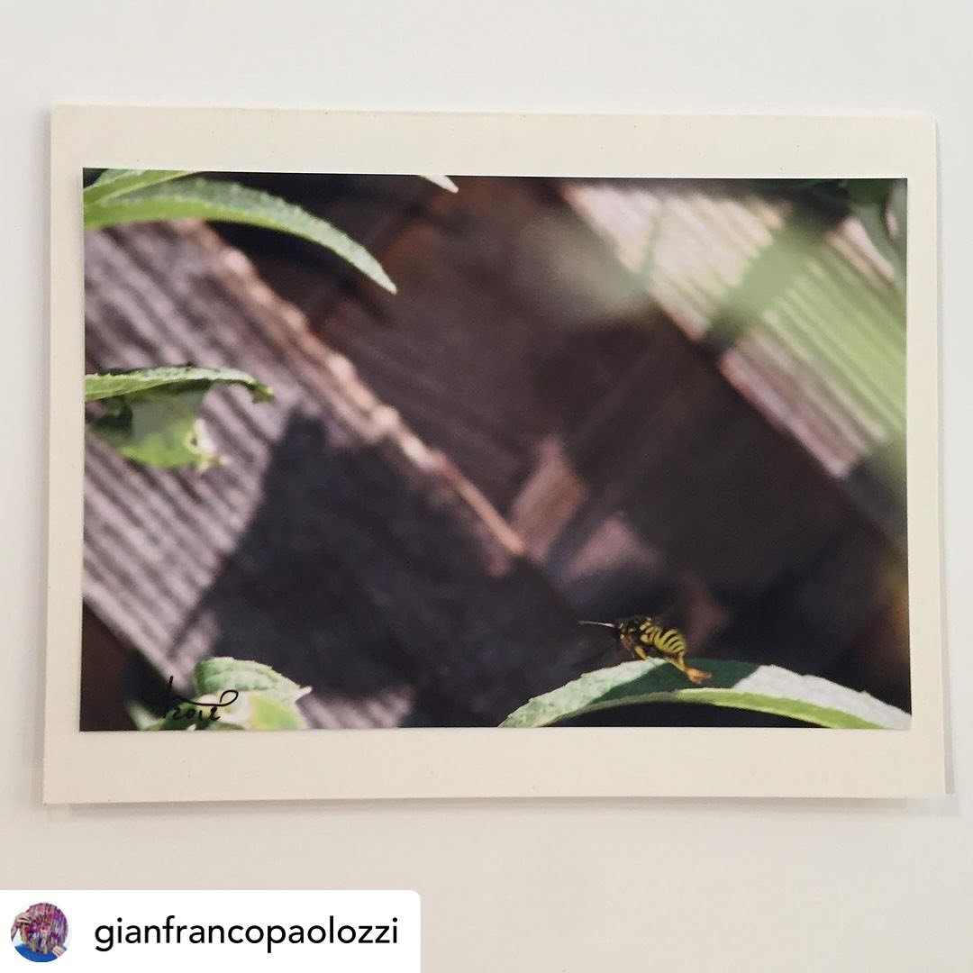 Find original postcard photos by Gianfranco Paolozzi at KALEID Gallery. 

@gianfrancopaolozzi Added some original 4&rdquo; x 6&rdquo; photos to be used as postcards at my resident wall @kaleidgallery 

#gianfranco #postcards #photography 
#kaleidgall