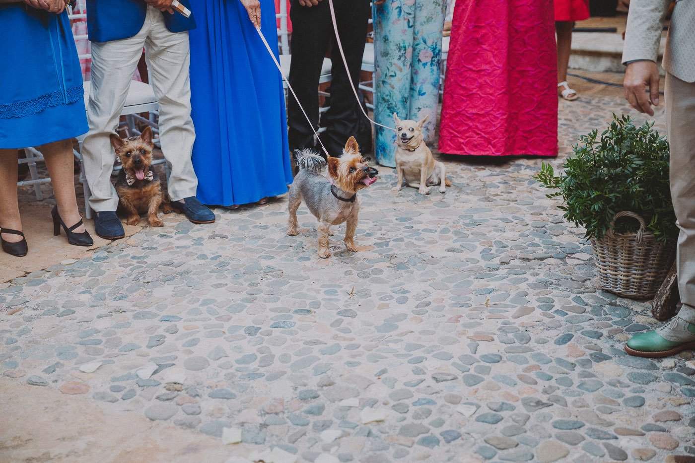 064-fotografo-boda-marbella-llanos-belvis-391.jpg