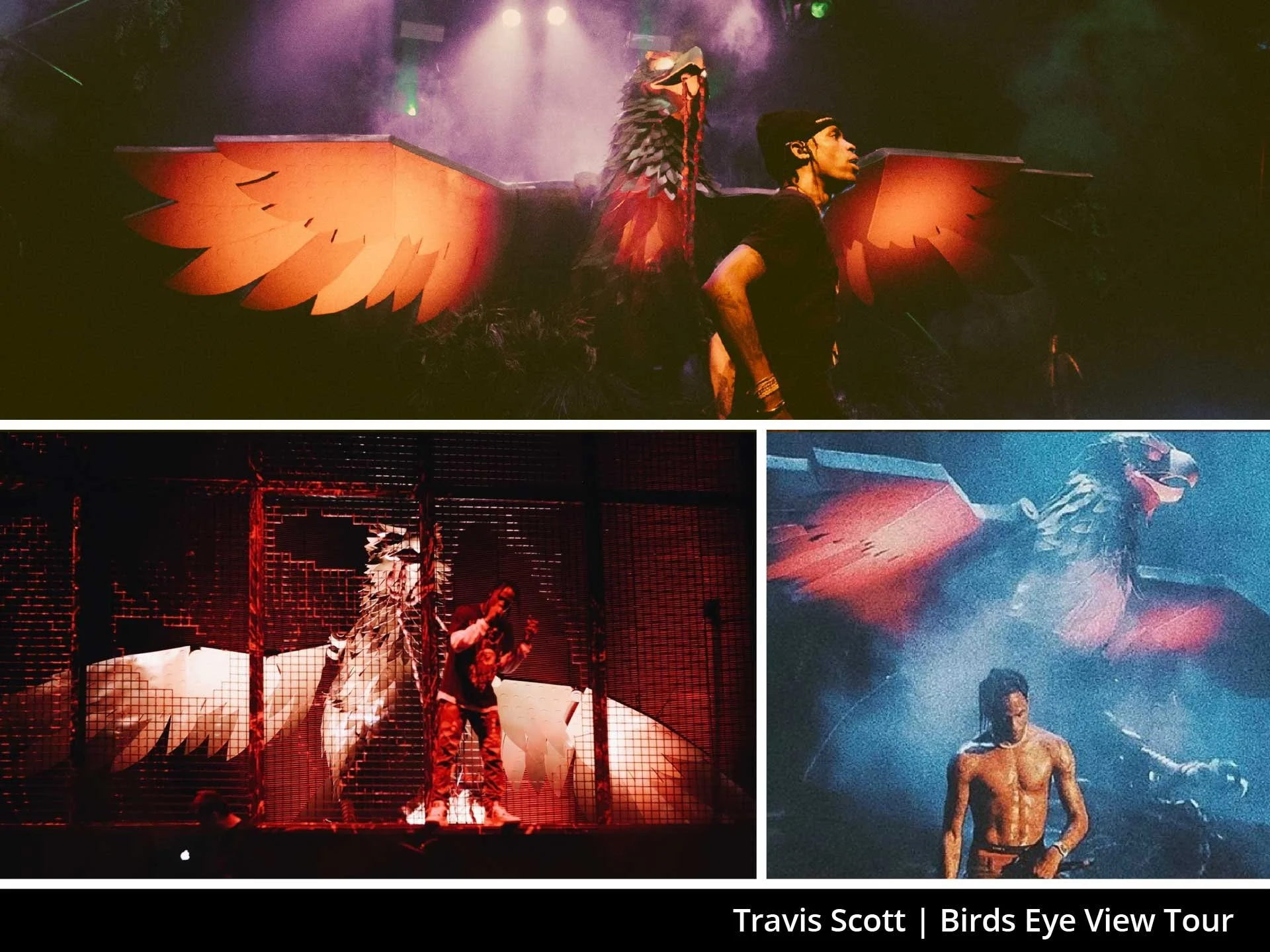 Concert_TS_2.jpg