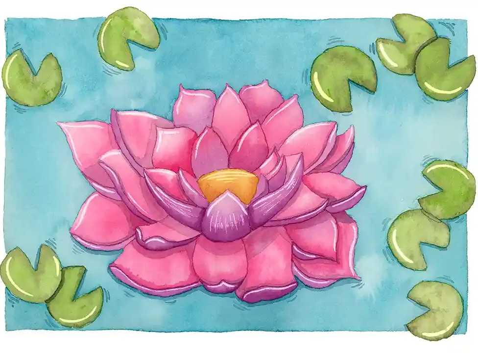 LotusFlower_projuctimage_4x6_72dpi.png
