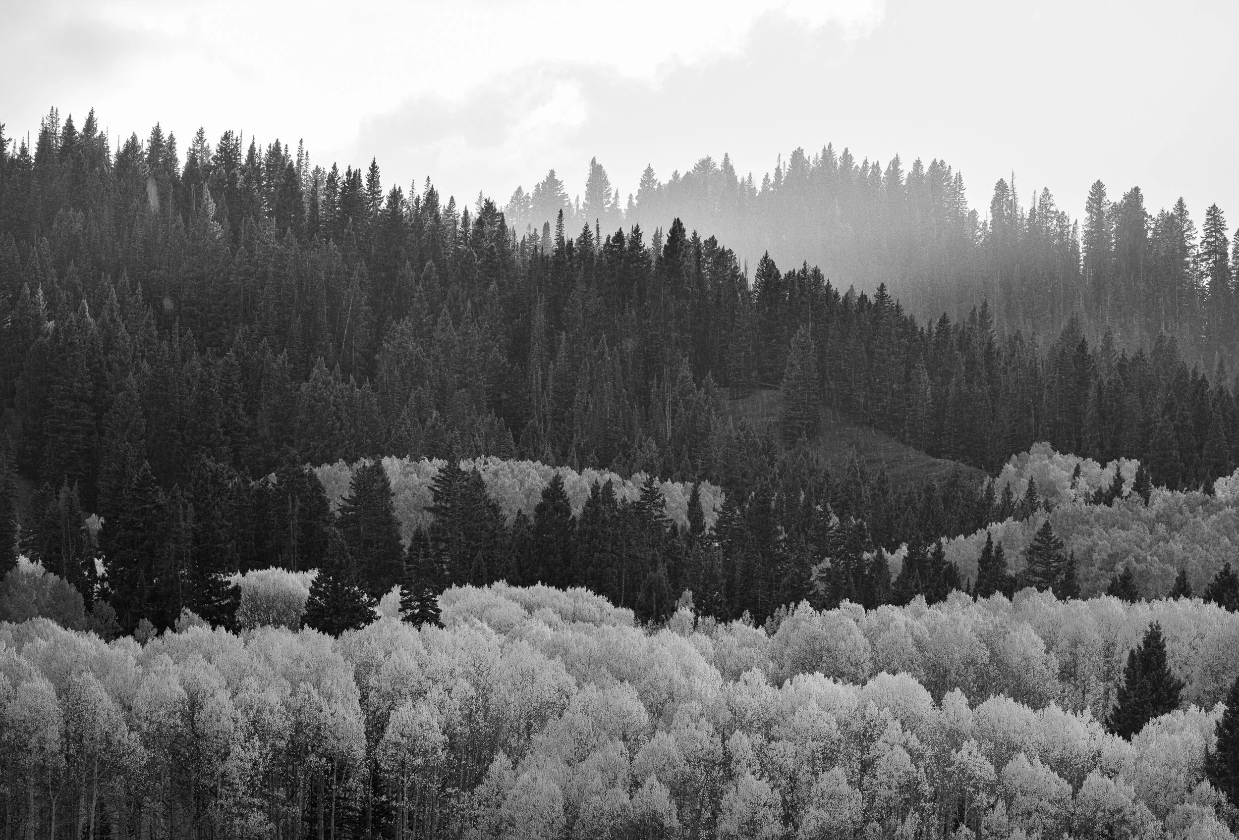 Favorites of 2025-110.jpg