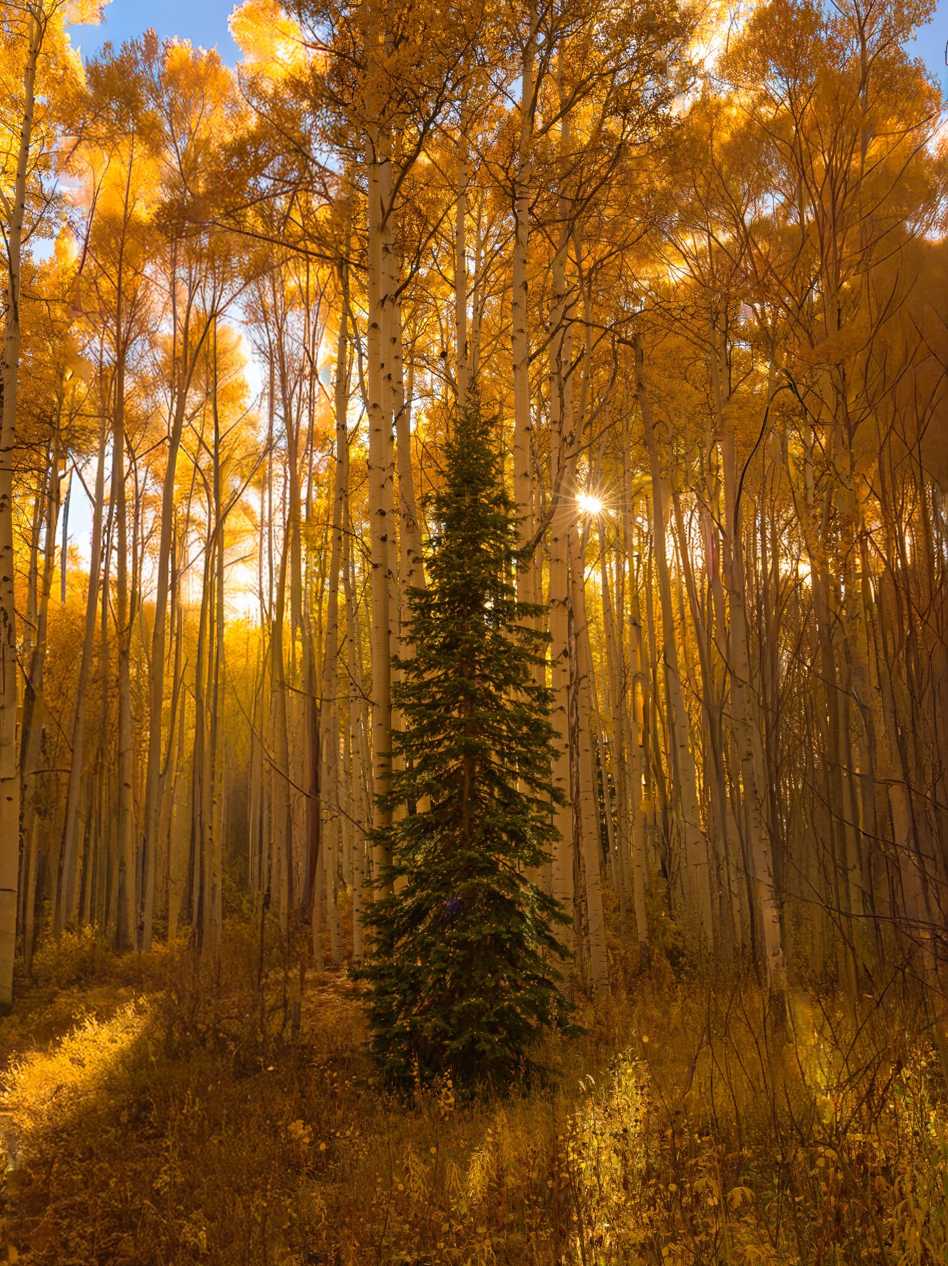 Favorites of 2025-113.jpg