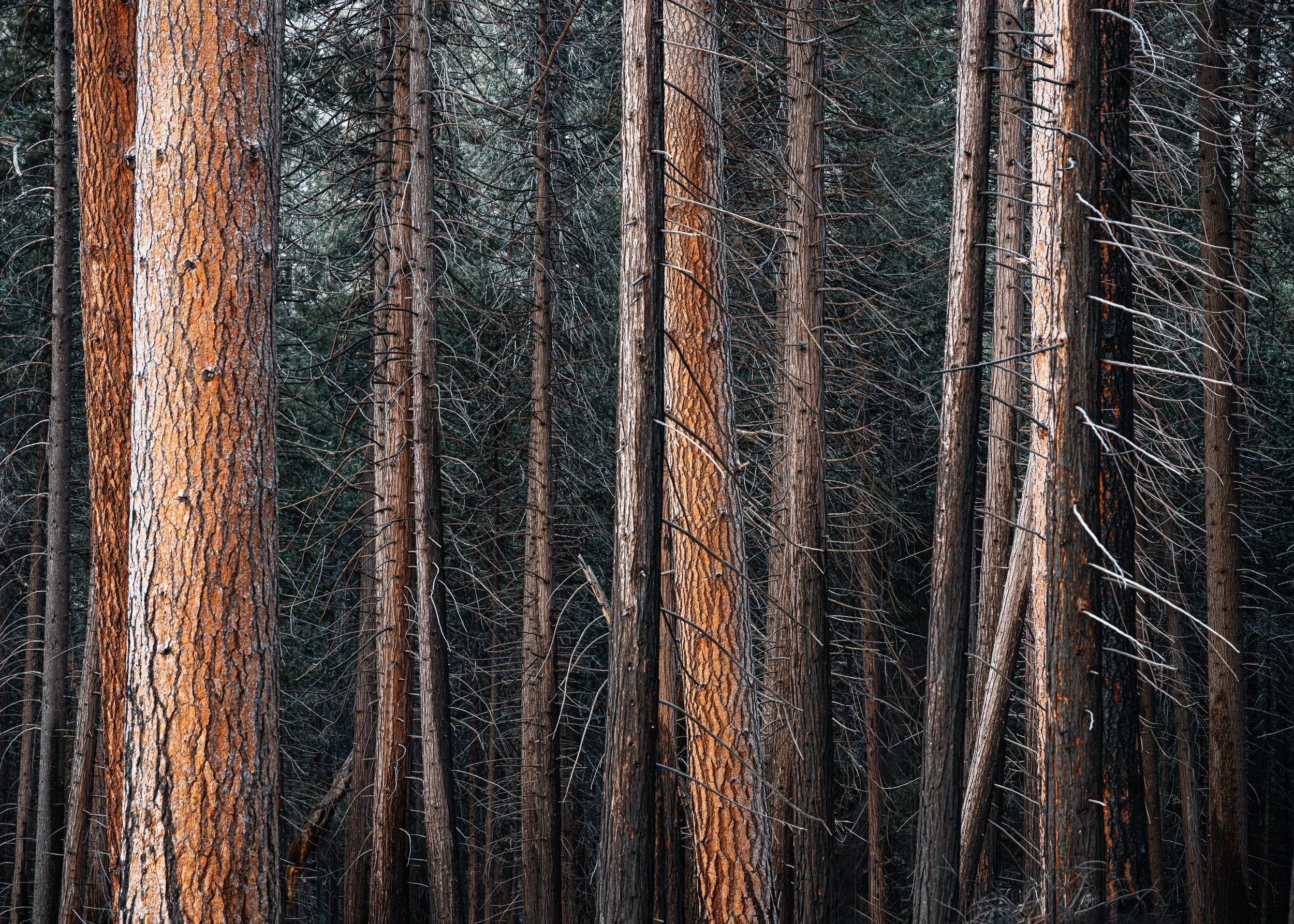 Favorites of 2025-118.jpg