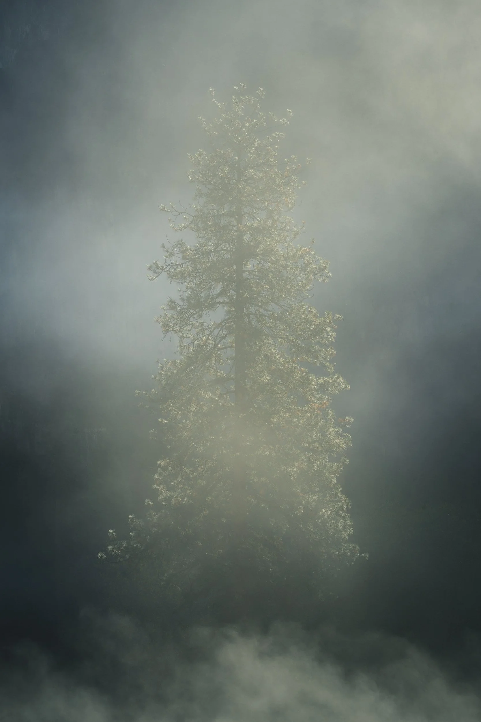 Favorites of 2025-122.jpg