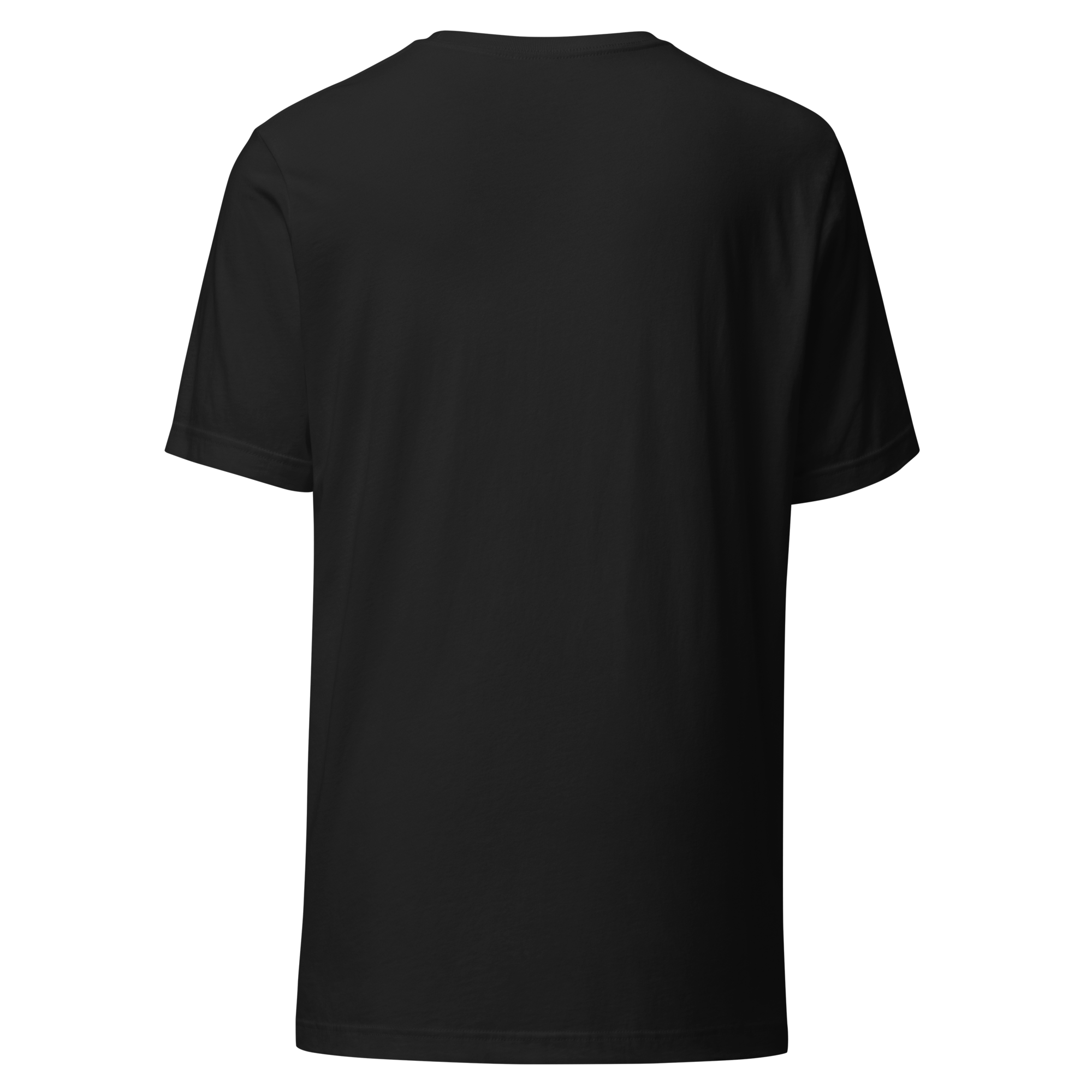 Ascension Roster Tee Ghost Rear.png