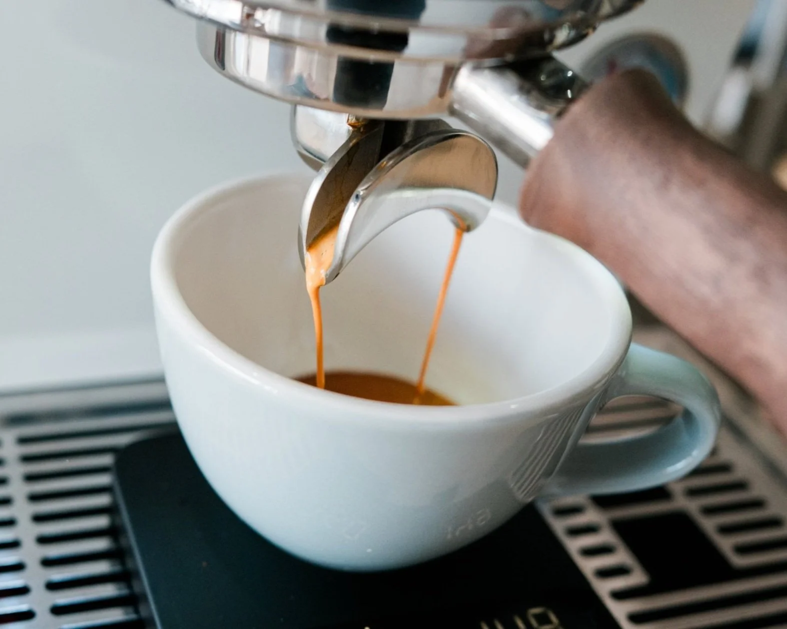 Cloudae Coffee Specialty Coffee Catering Boston Event Coffee cloudae-coffee-specialty-coffee-catering-boston-event-coffee