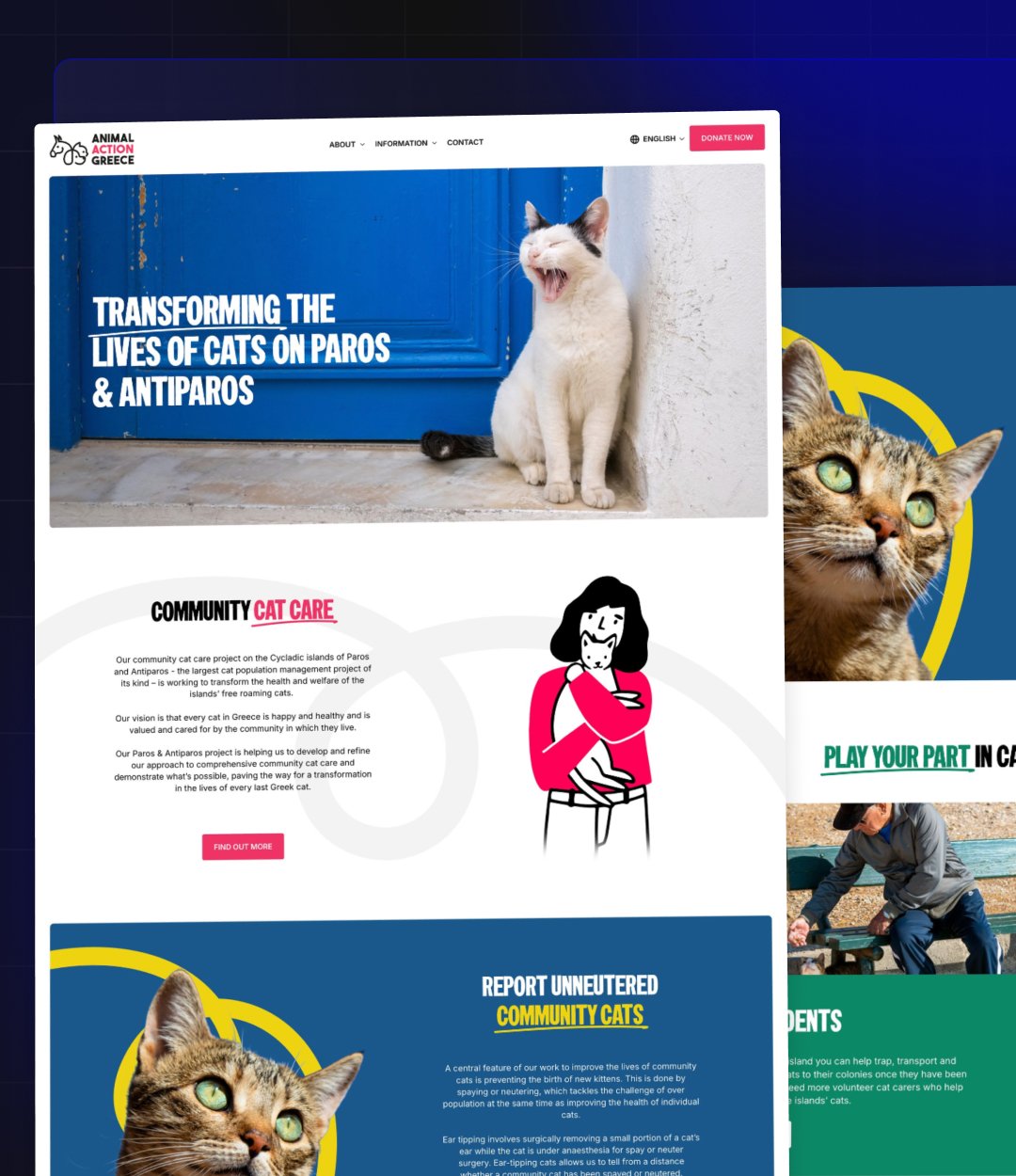 Animal Action Greece - Nonprofit