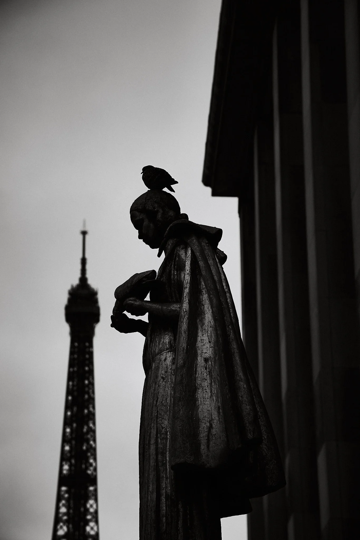 street-paris-eiffel-tower-statue-pigeon-black-and-white.jpg