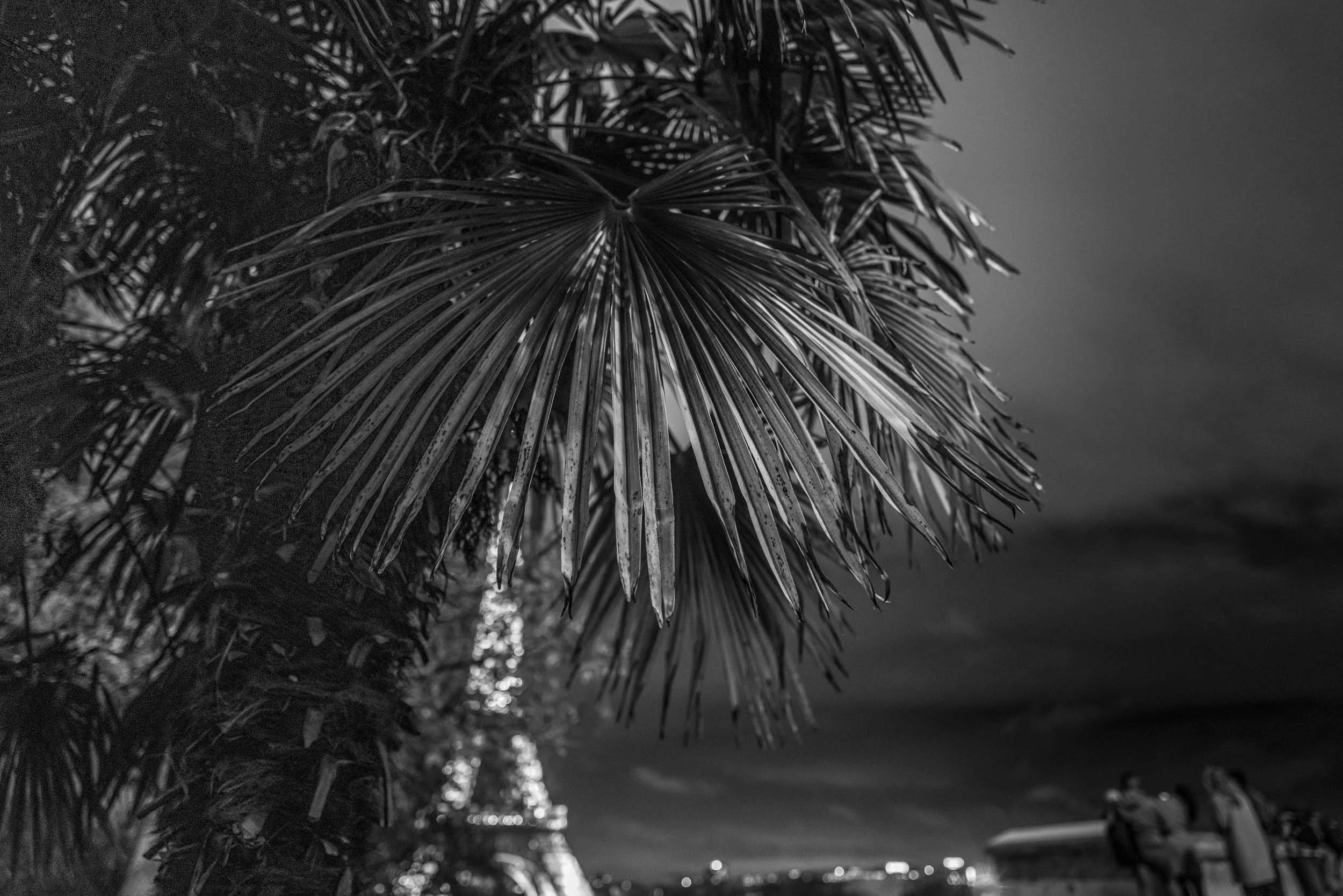 street-paris-eiffel-tower-black-and-white-marc-stanford.jpg