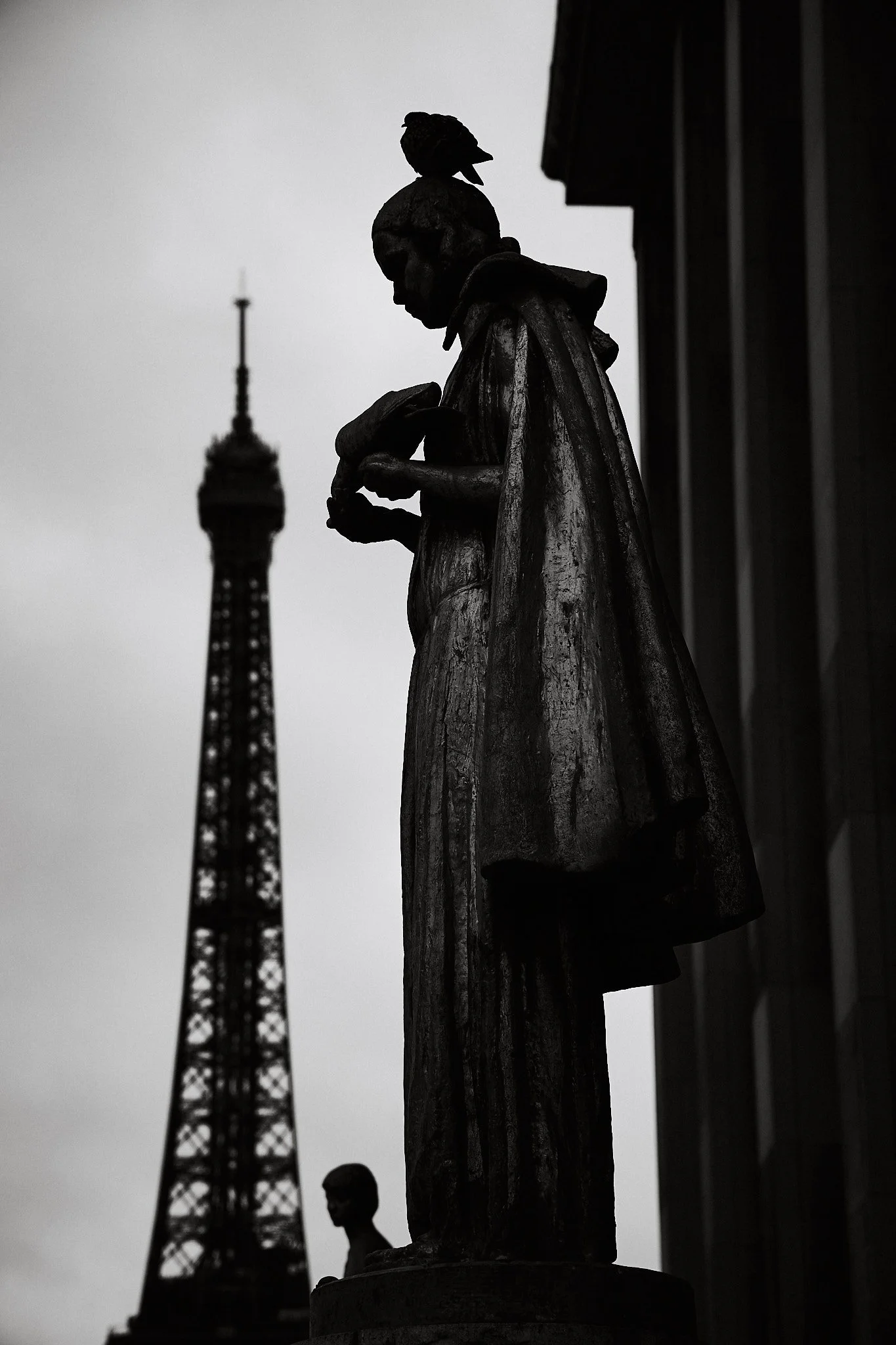 street-paris-eiffel-tower-statue-pigeon-black-and-white-marc-stanford.jpg