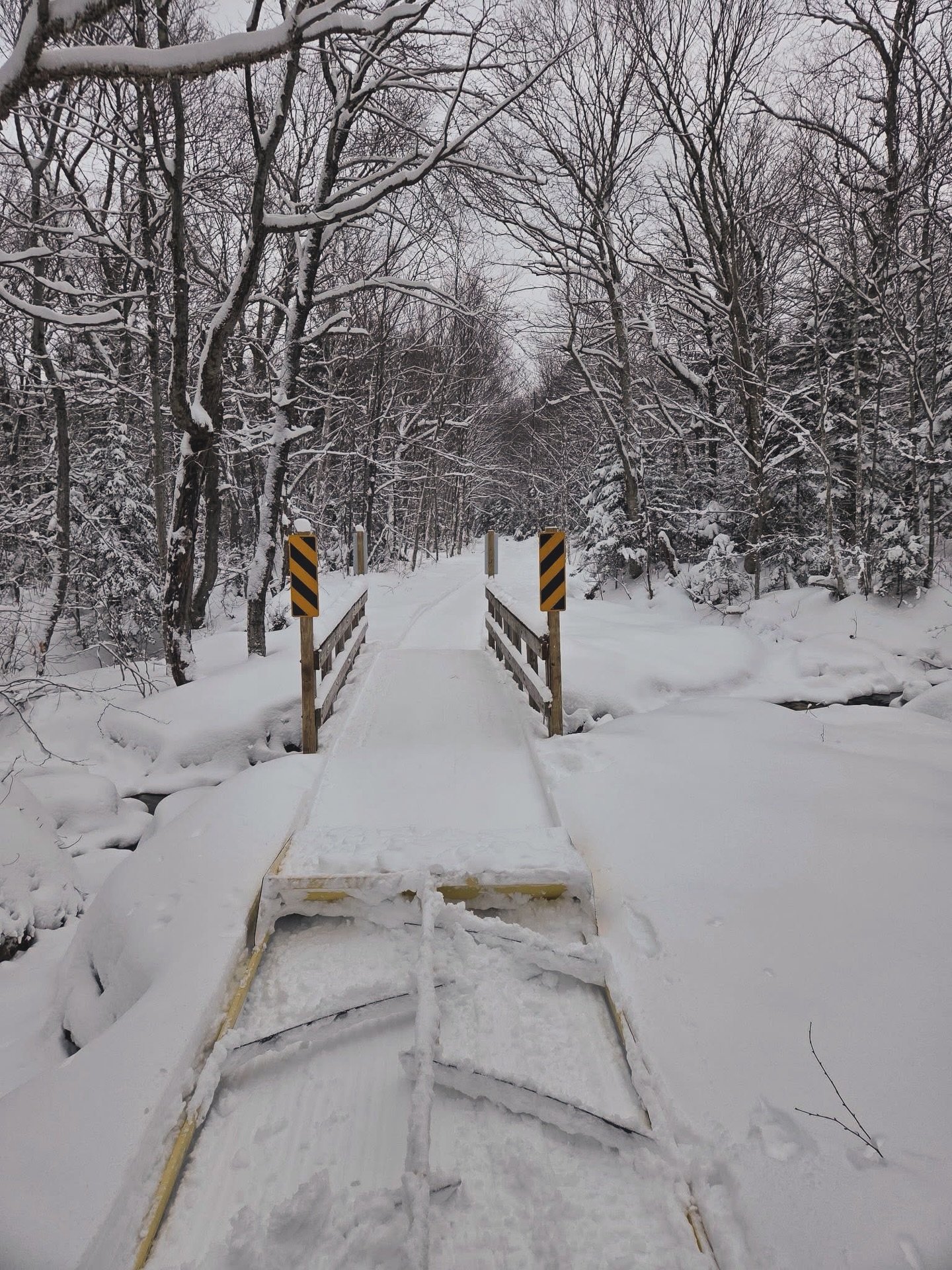 Old Man Winter Has Risen