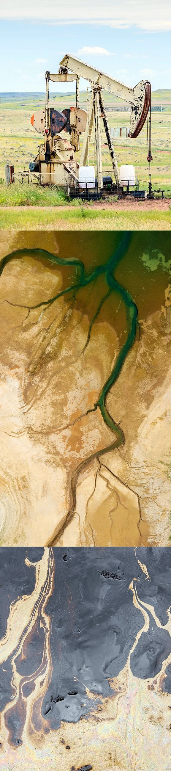 oil.jpg