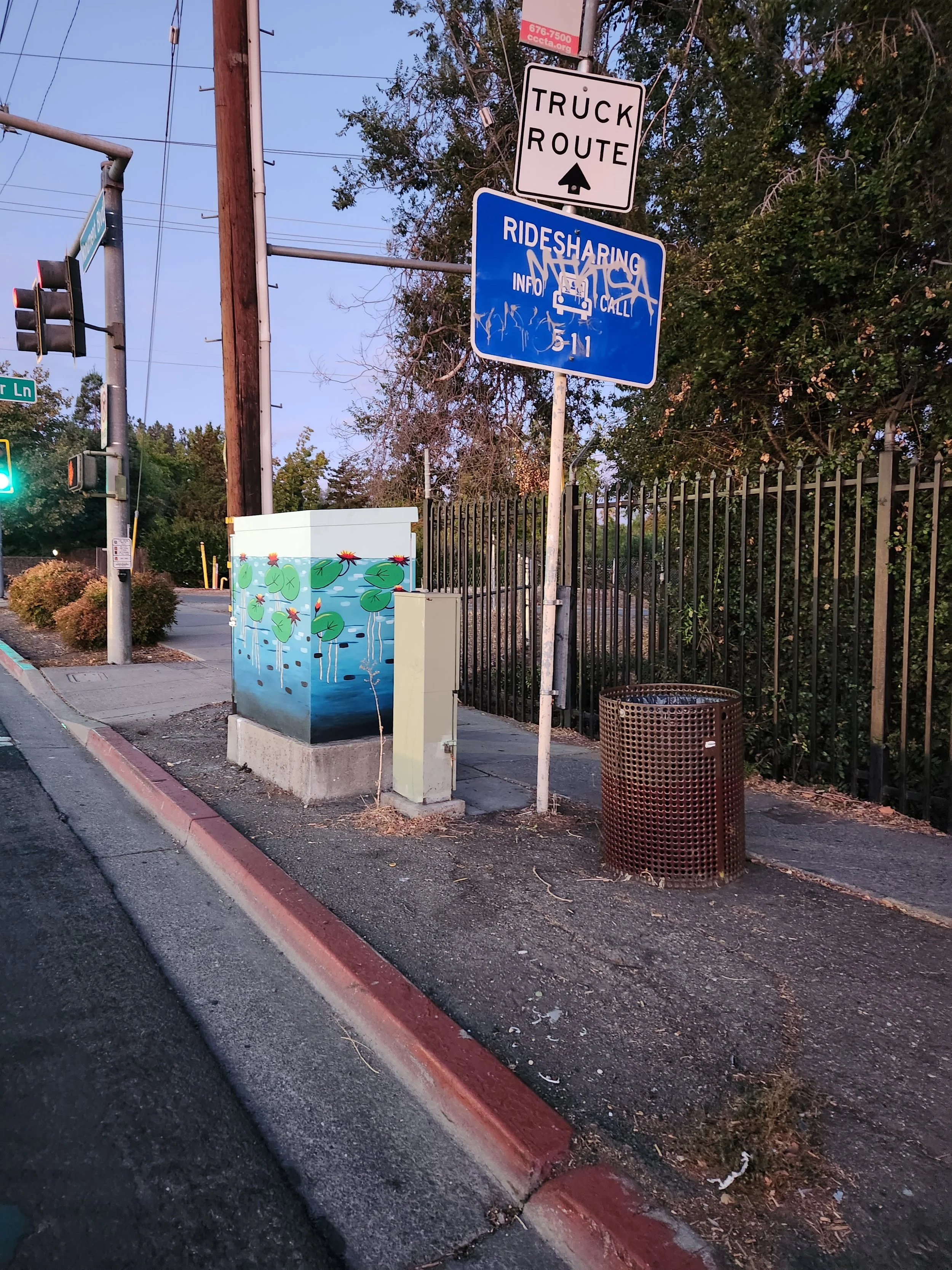 "Water lilies" painted on utility box in my city