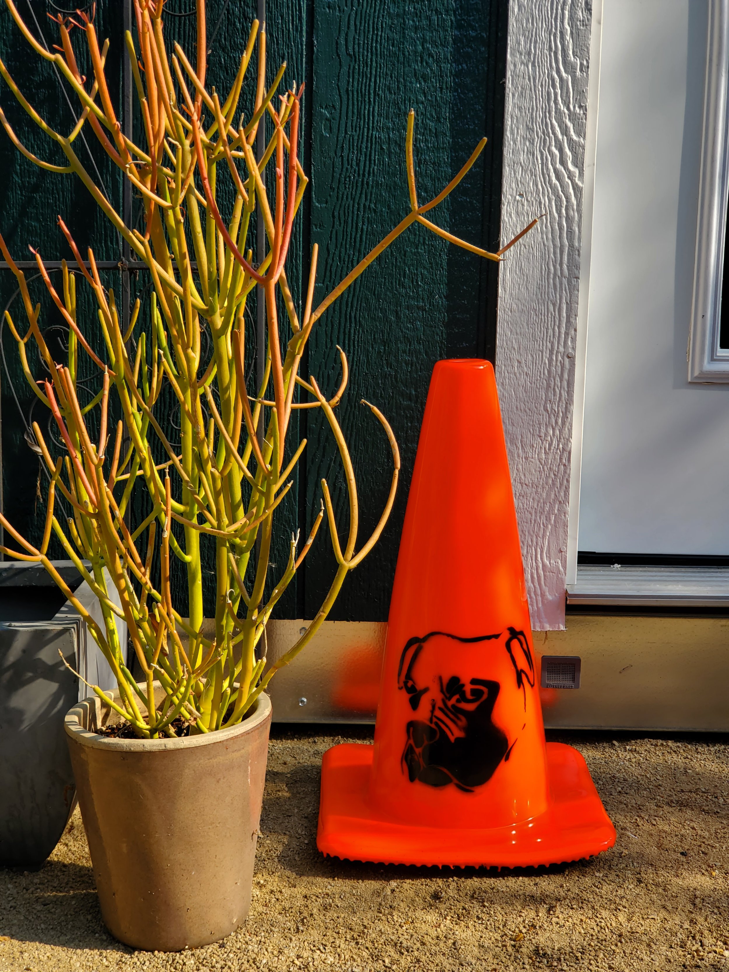 "Go Slow for the Boxer Zone" stencil on safety cone