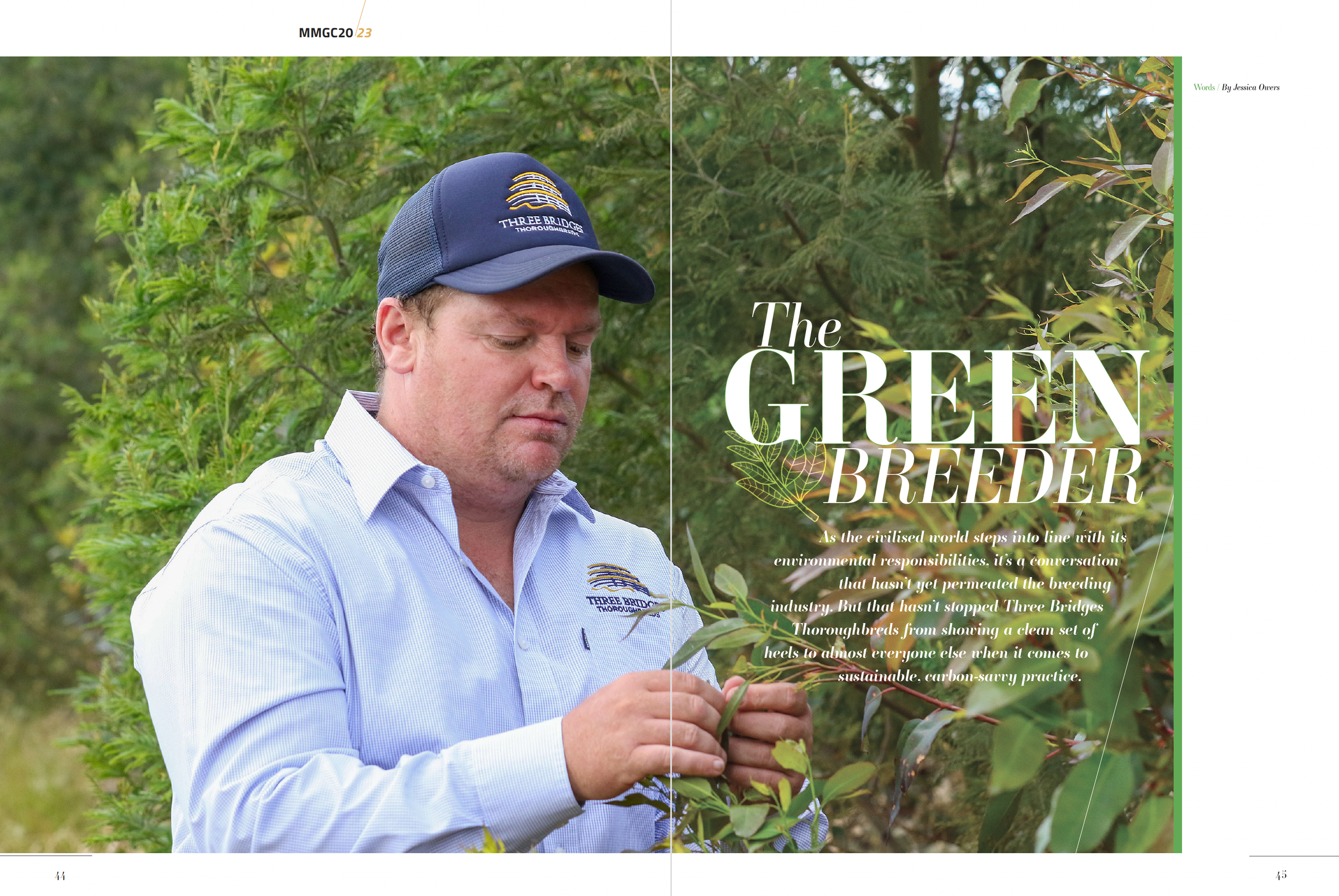 The Green Breeder - bettering farming land at Three Bridges Thoroughbreds
