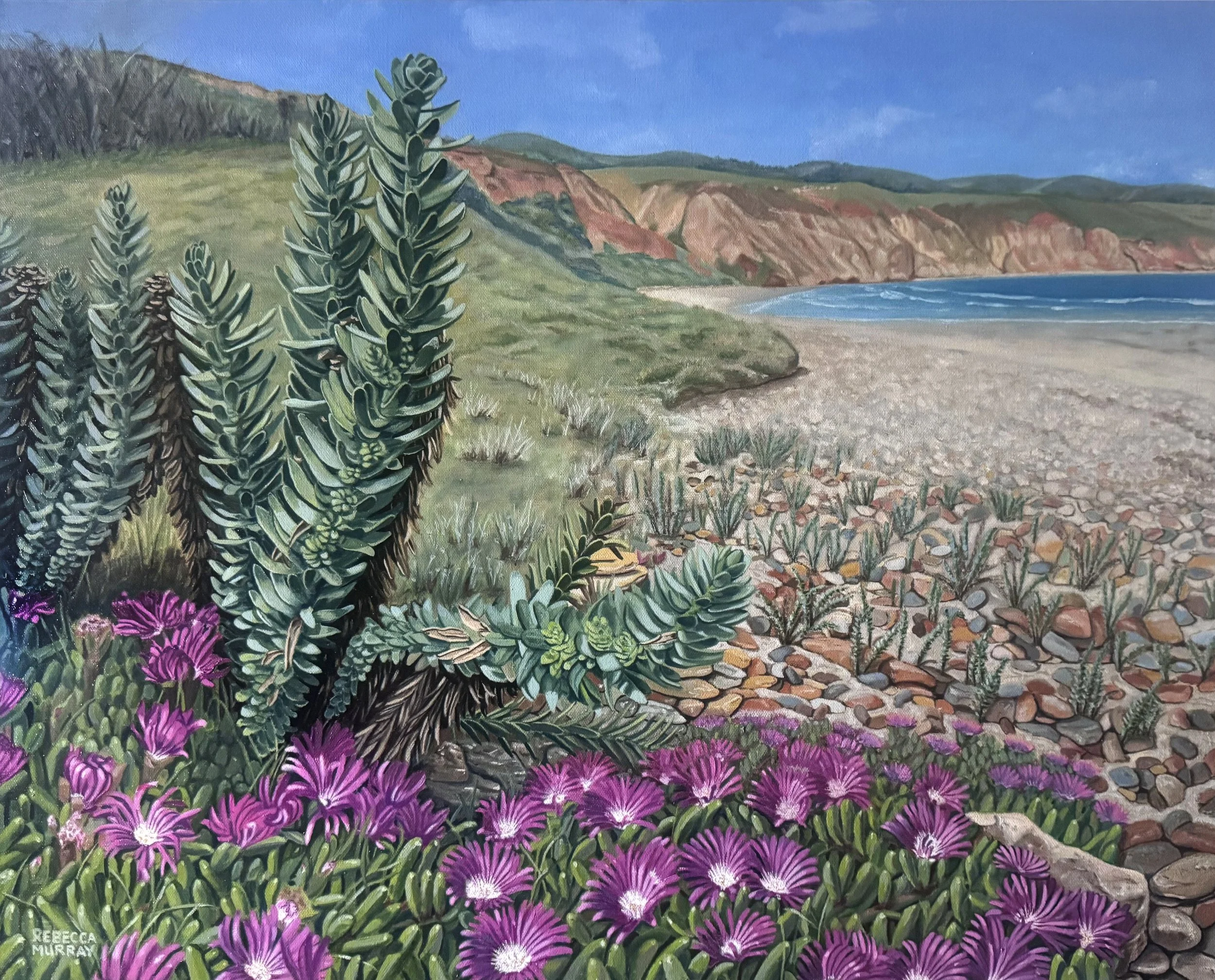 Sellicks Beach Coastal Flora, South Australia.
Original for sale : $3,000.  Oil on Canvas, 760mm x 610mm.  Prints available.