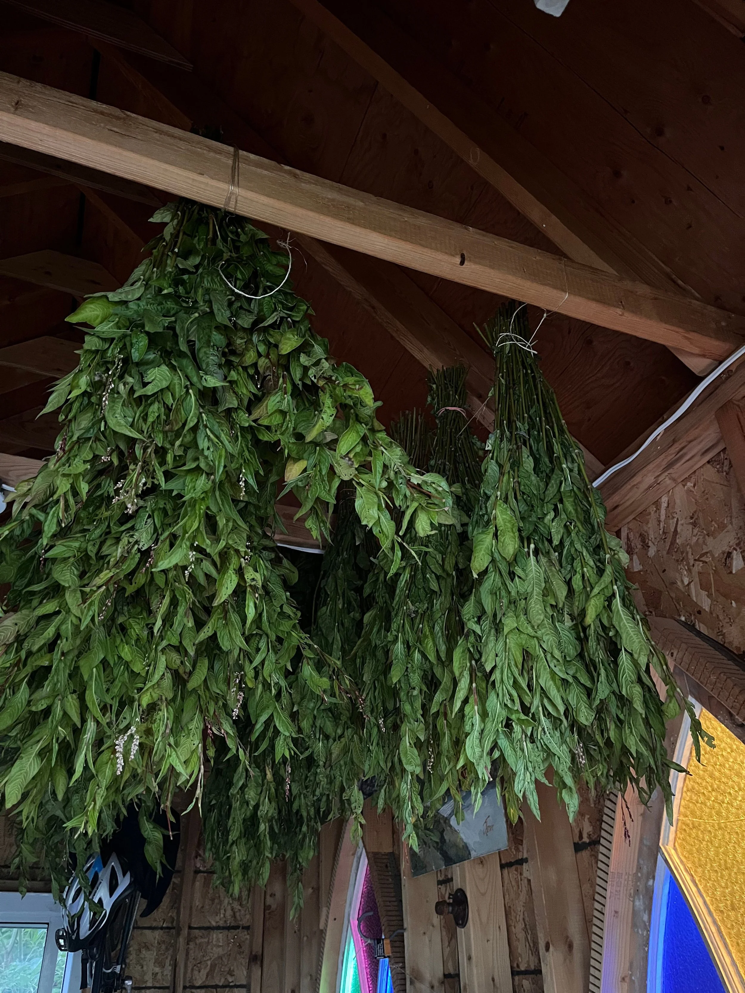 Création sans titre.jpg