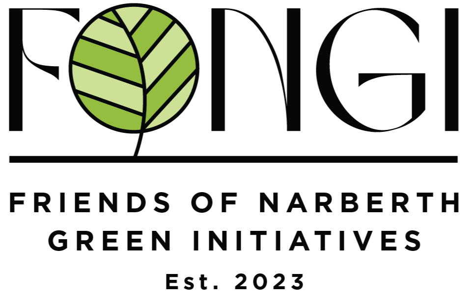 Friends of Narberth Green Initiatives