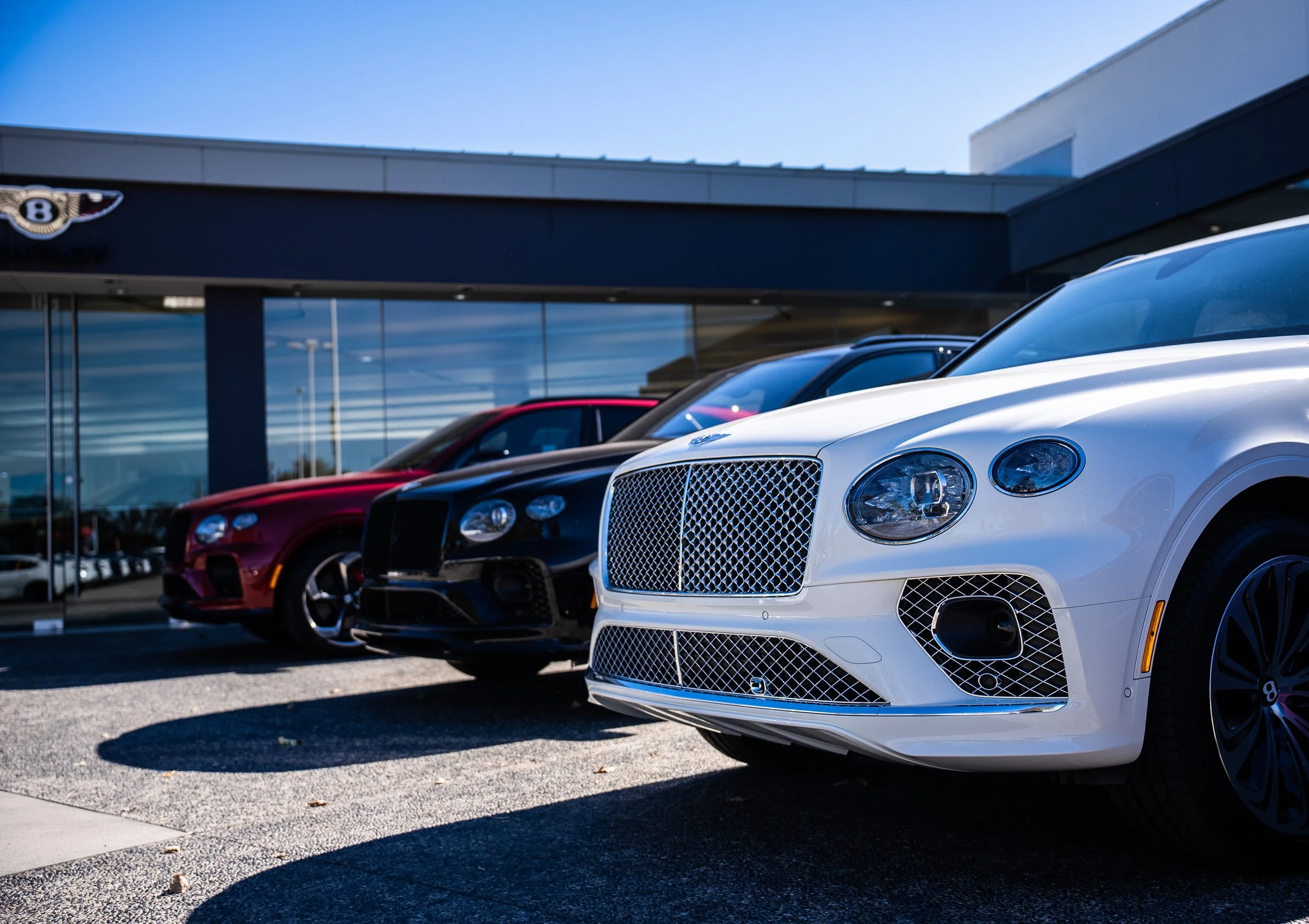 Lineup of luxury cars parked outside a Bentley dealership, including a white Bentley, a black Bentley, and a red Bentley, with the dealership building and Bentley logo in the background.