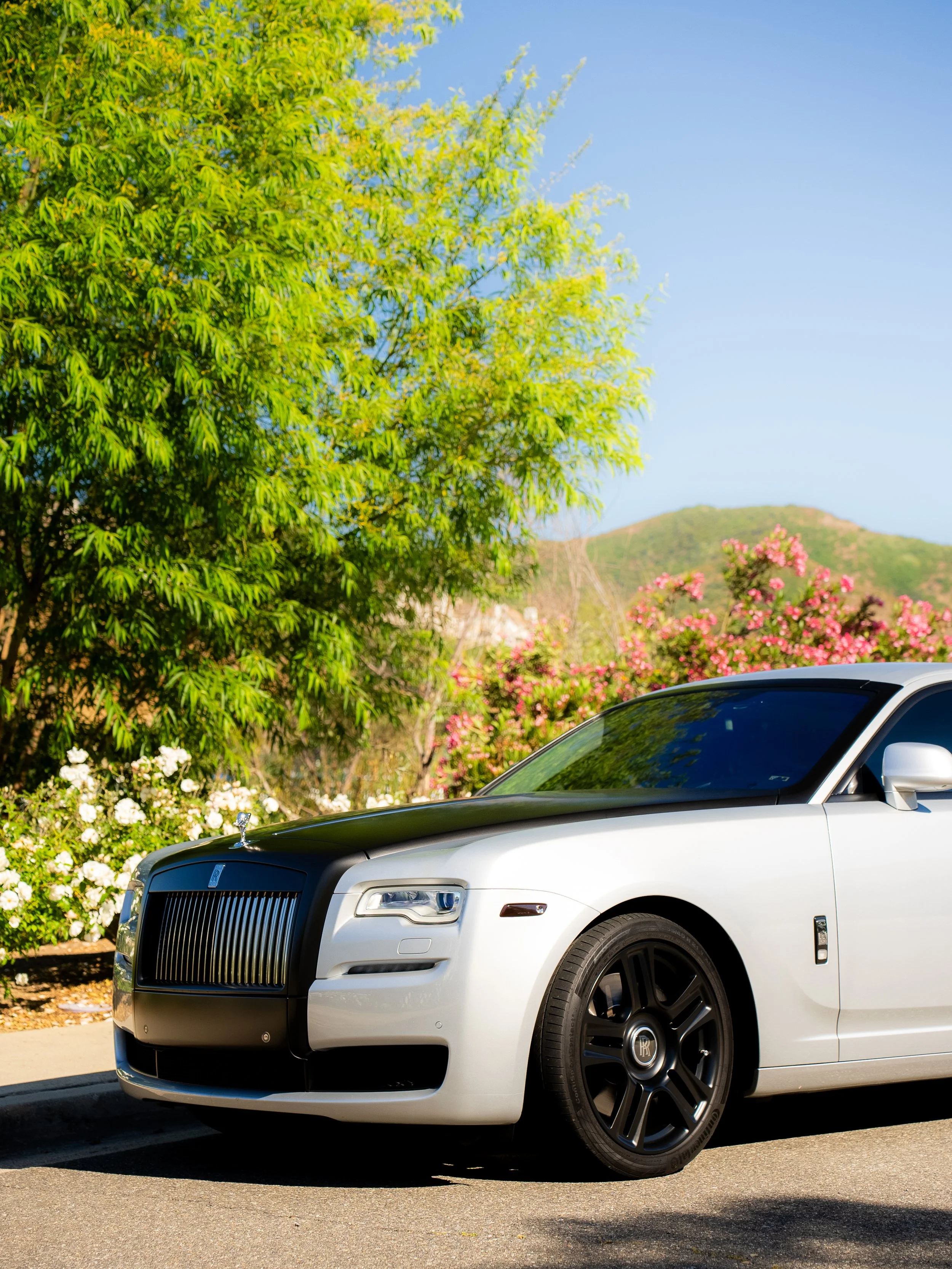 A white luxury car with a black hood parked on a paved road with green trees, pink and white flowering bushes, and a mountain in the background under a clear blue sky.