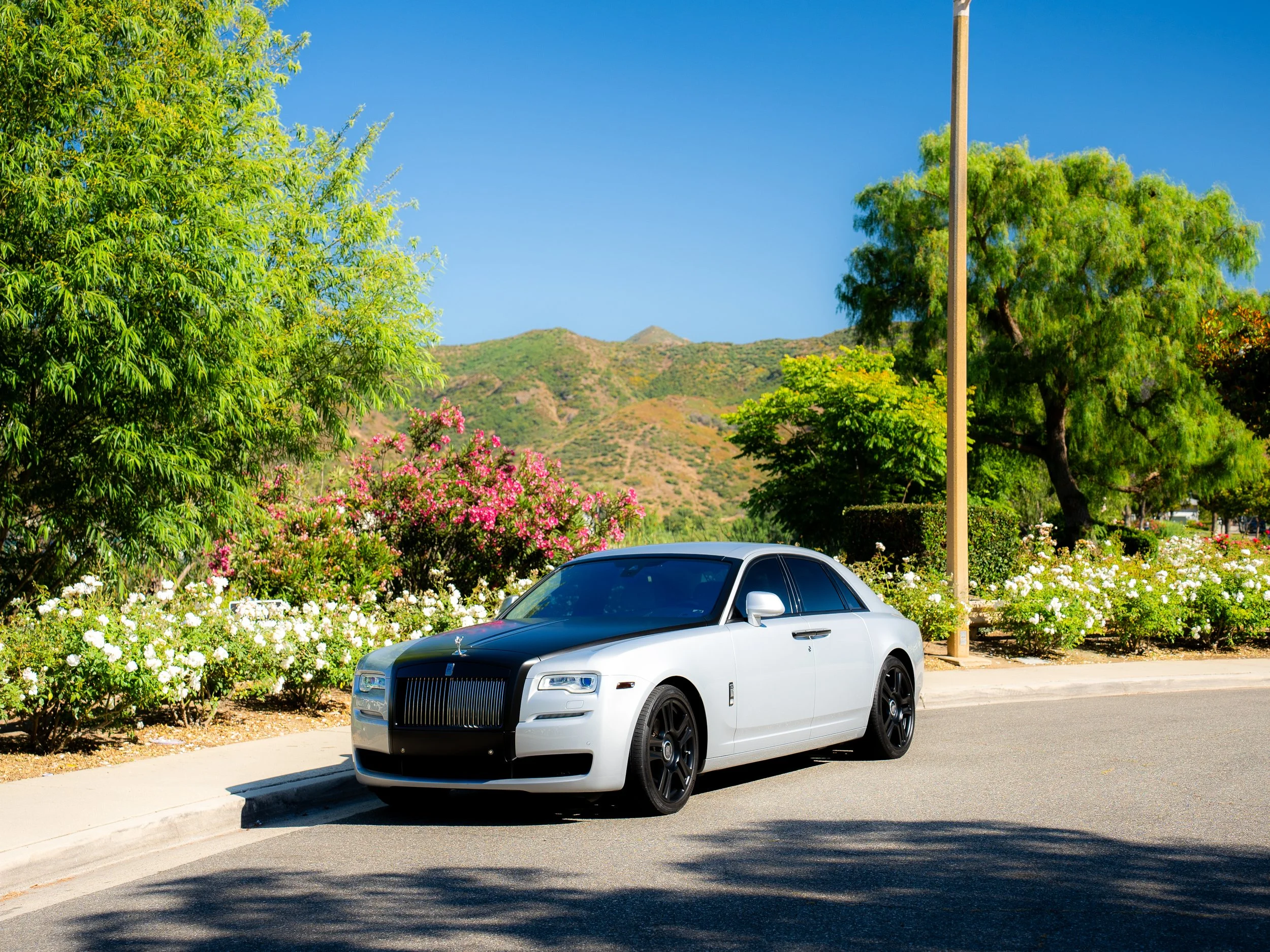A white luxury sedan with a black grille parked on the side of a street next to a flower bed with white and pink flowers. There are green trees and hills in the background under a clear blue sky.