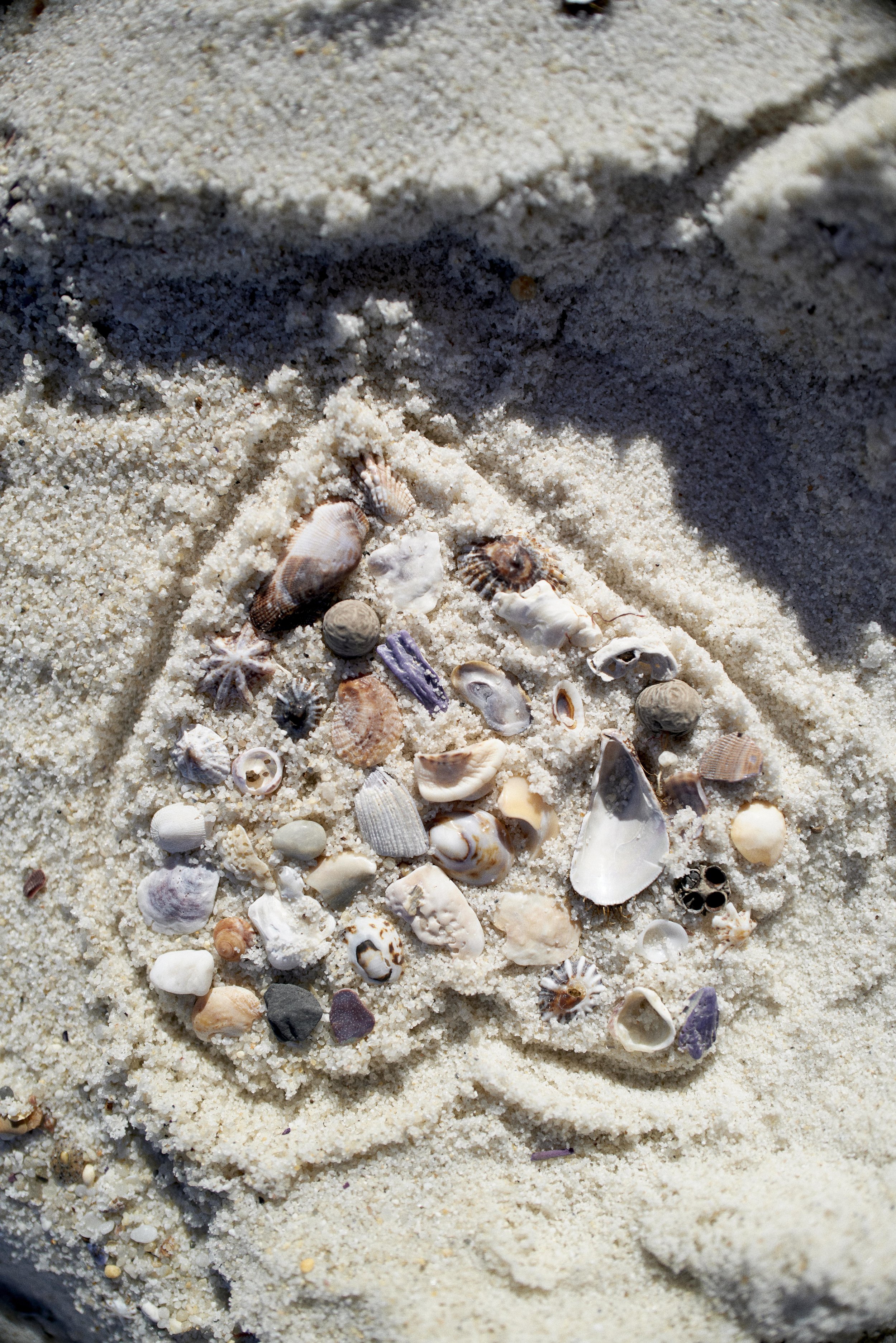 SHOT-02_Elle_CocoBeach_1108.jpg