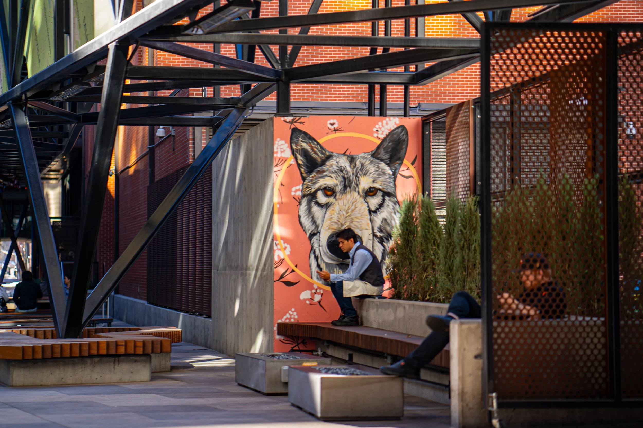 Street-7306428.jpg