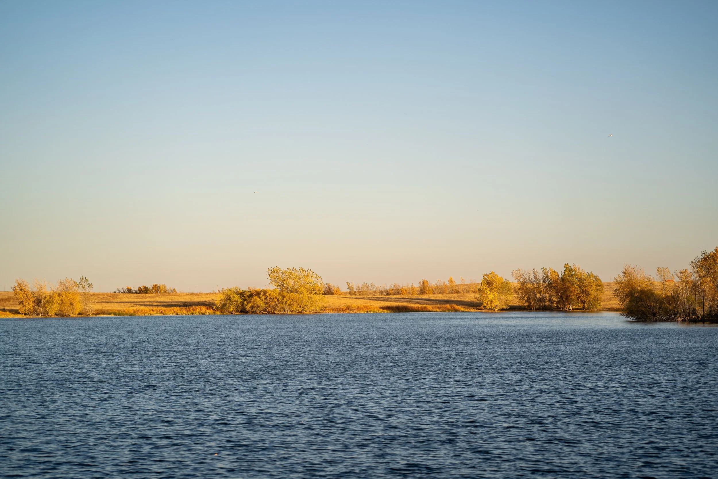 landscape-7305558.jpg