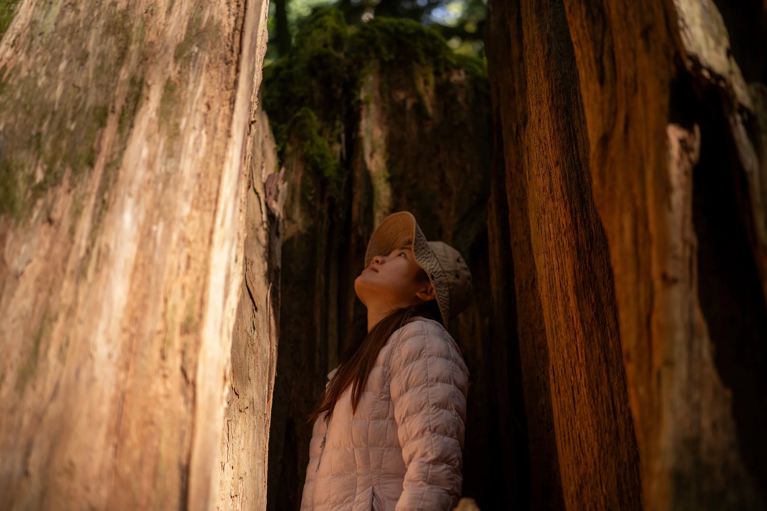 A7304717 - Copy.jpg