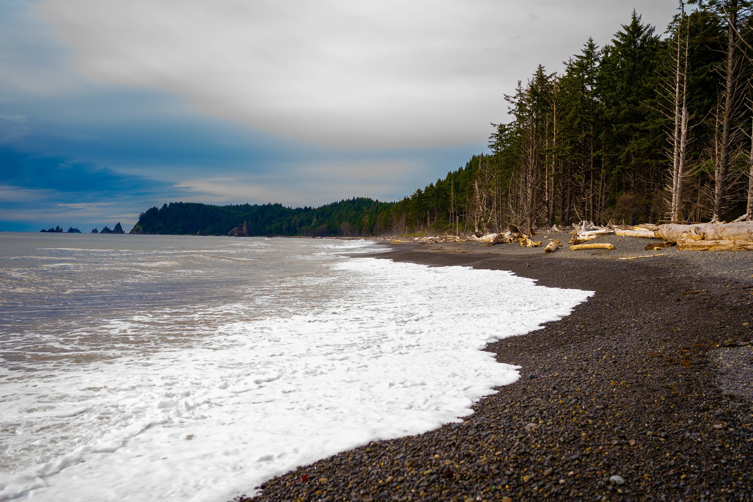 A7304817 - Copy.jpg