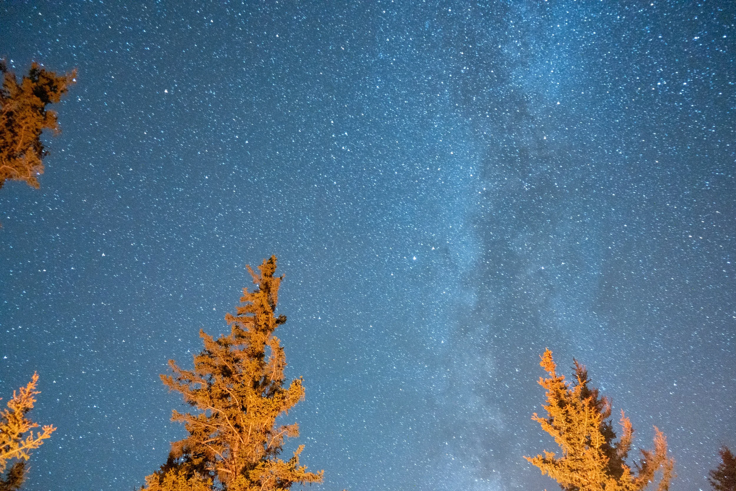 landscape-7304722.jpg