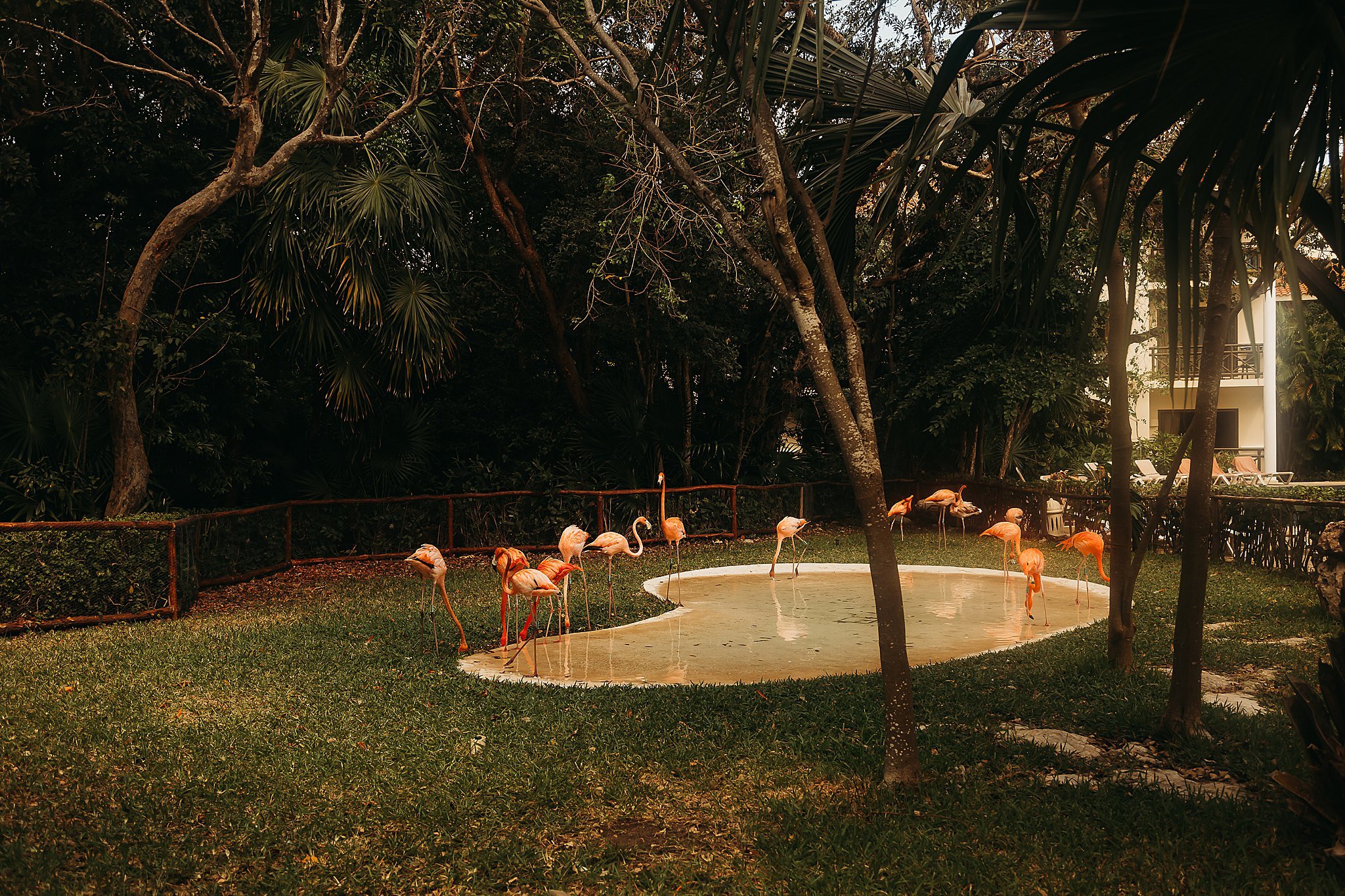 Mexico+Vacation+2019+Anna+Hurley+Photography+5.jpg