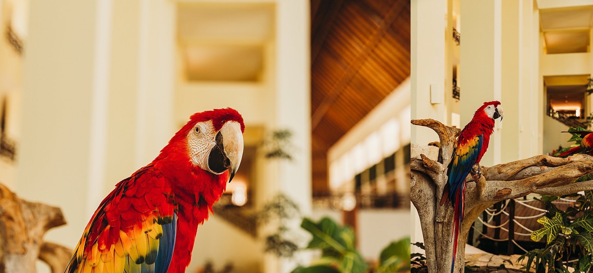 Mexico+Vacation+2019+Anna+Hurley+Photography+18.jpg