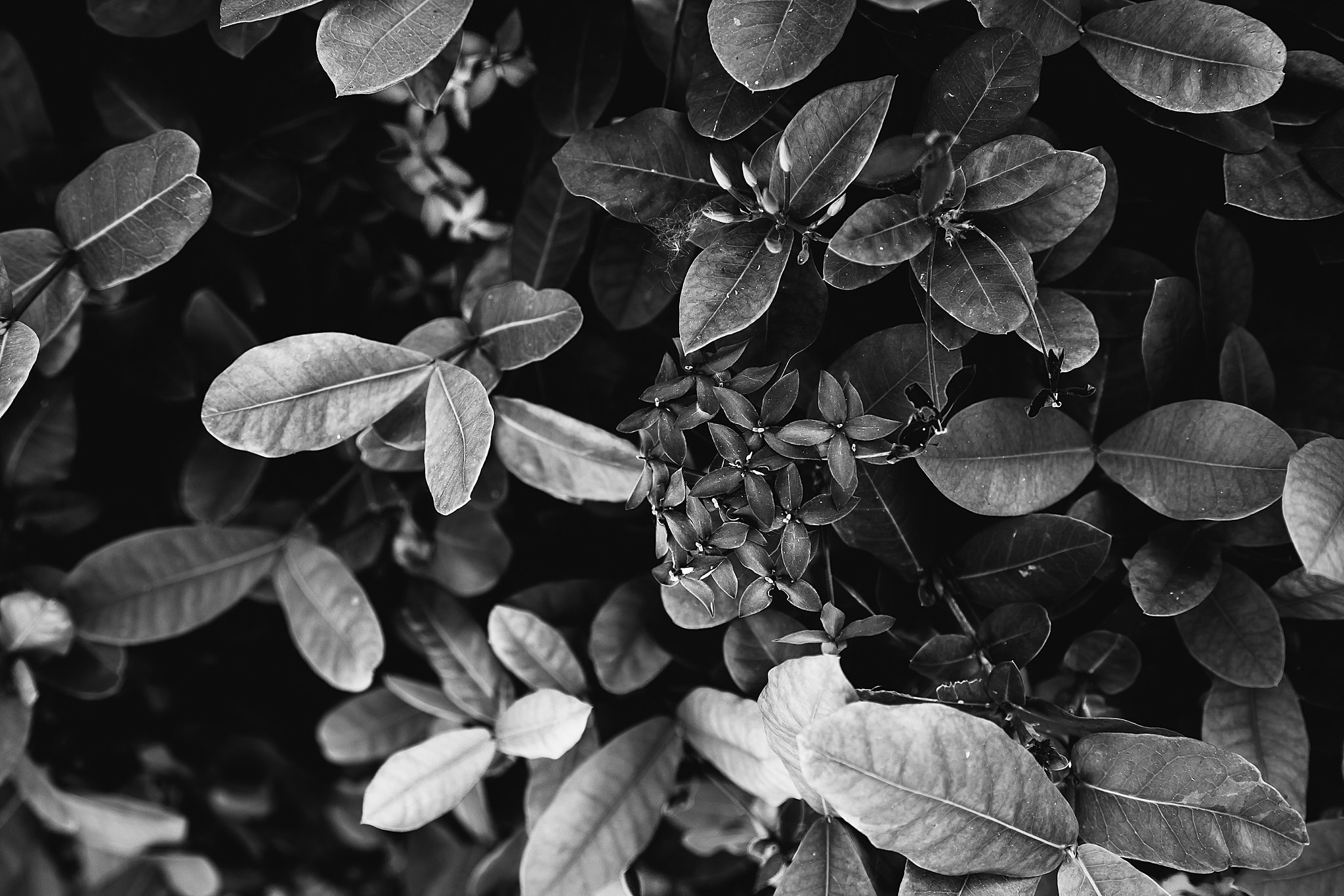 Mexico+Vacation+2019+Anna+Hurley+Photography+19.jpg