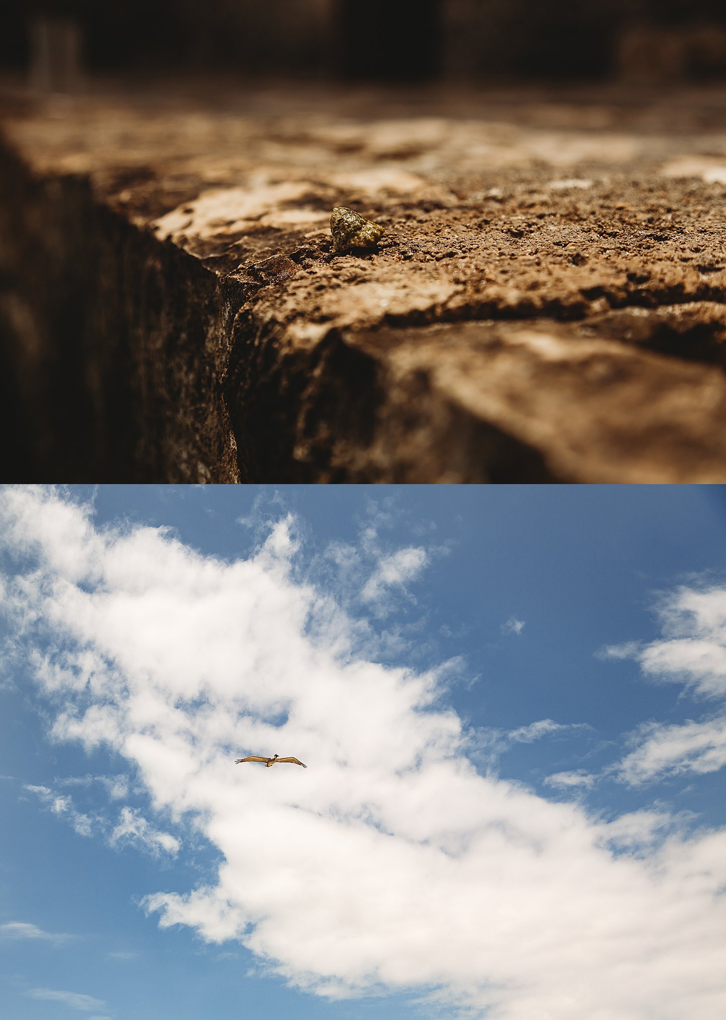 Mexico+Vacation+2019+Anna+Hurley+Photography+39.jpg