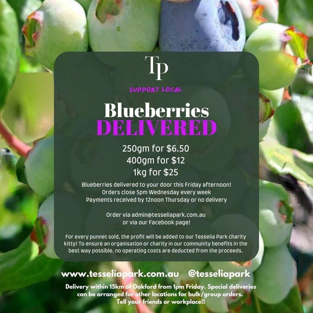 BLUEBERRY DELIVERY SERVICE! 

Buy delicious blueberries and support our local charities! Last week was such a success we have decided to continue every Friday for the season 😍

All proceeds from produce sales go into our donations tin to help suppor