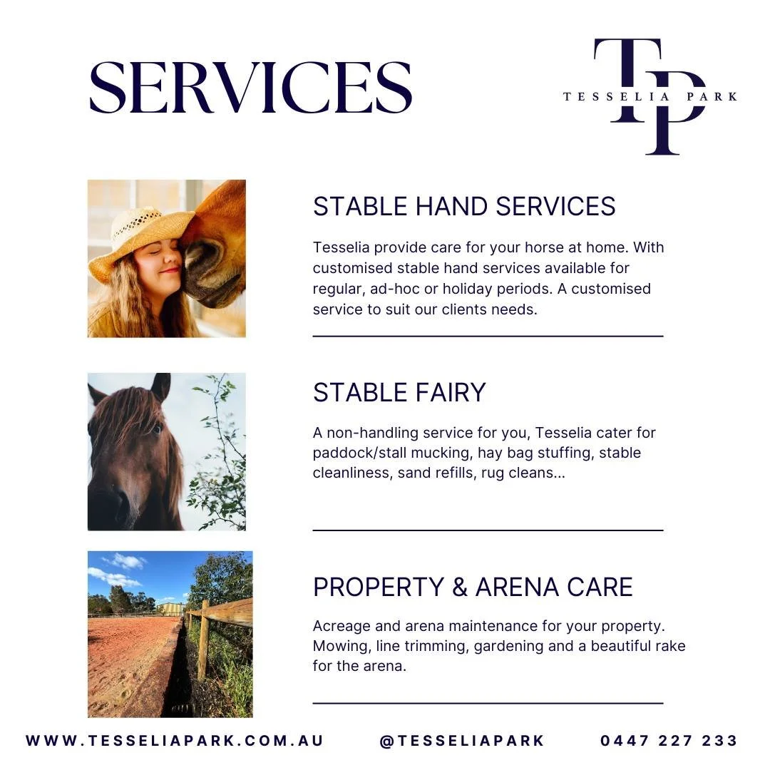 Tesselia Park provide dedicated care for your horse at home... Our clients engage us for diverse reasons. Holiday agistment for their horses while they holiday, stable clean up &amp; feed prep while they head off to work (local &amp; FIFO), mid week 
