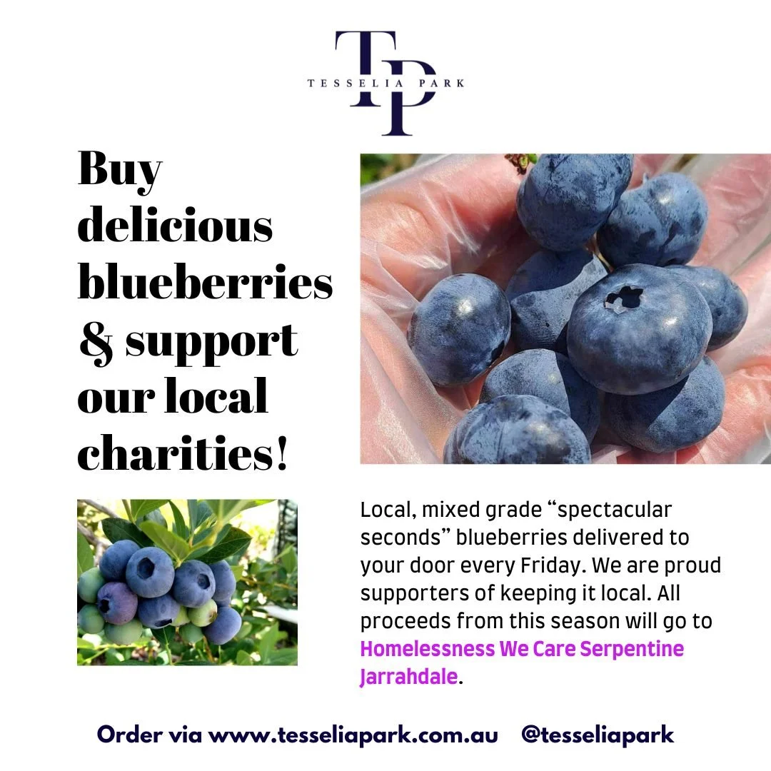 BLUEBERRY DELIVERY FRIDAY! You can now order on our website 💙 

We are HUGE advocates for the work being done in our community, in particular, by the wonderful team at Homeless We Care Serpentine Jarrahdale. The team behind this community initiative
