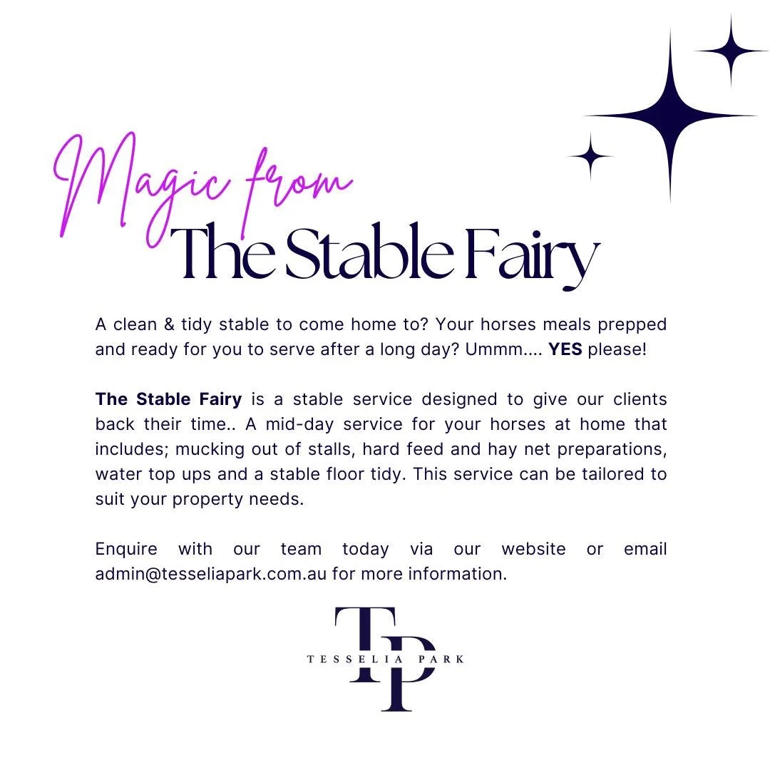 The Stable Fairy ✨ We provide a simple &quot;non handling&quot; service that gives our clients back their time. There is no handling included in this service however, it is quite unlike another... 

How our clients are using The Stable Fairy service 